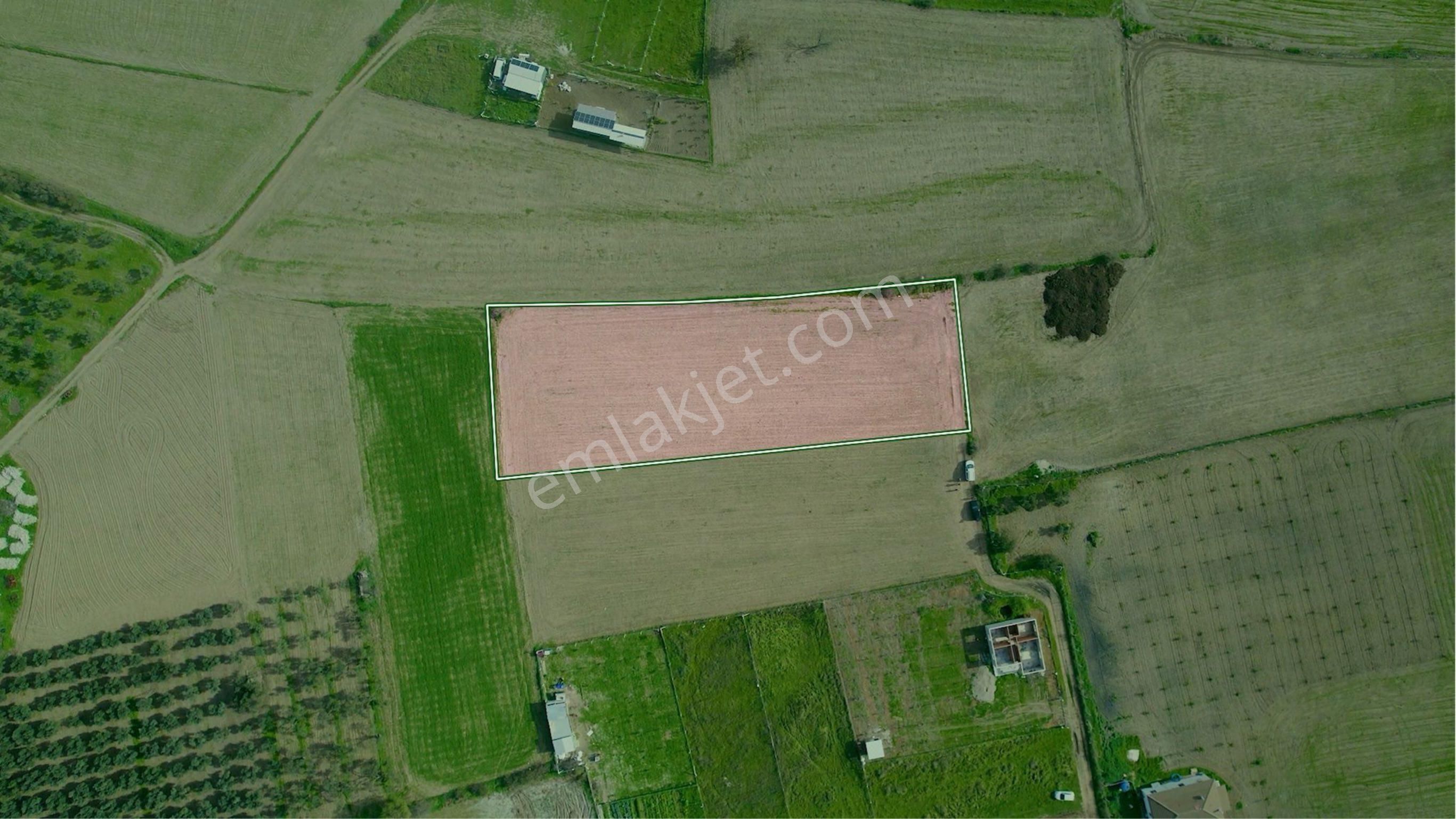 Türkelli Köyün İçinde Satılık Tarla - Görsel 9