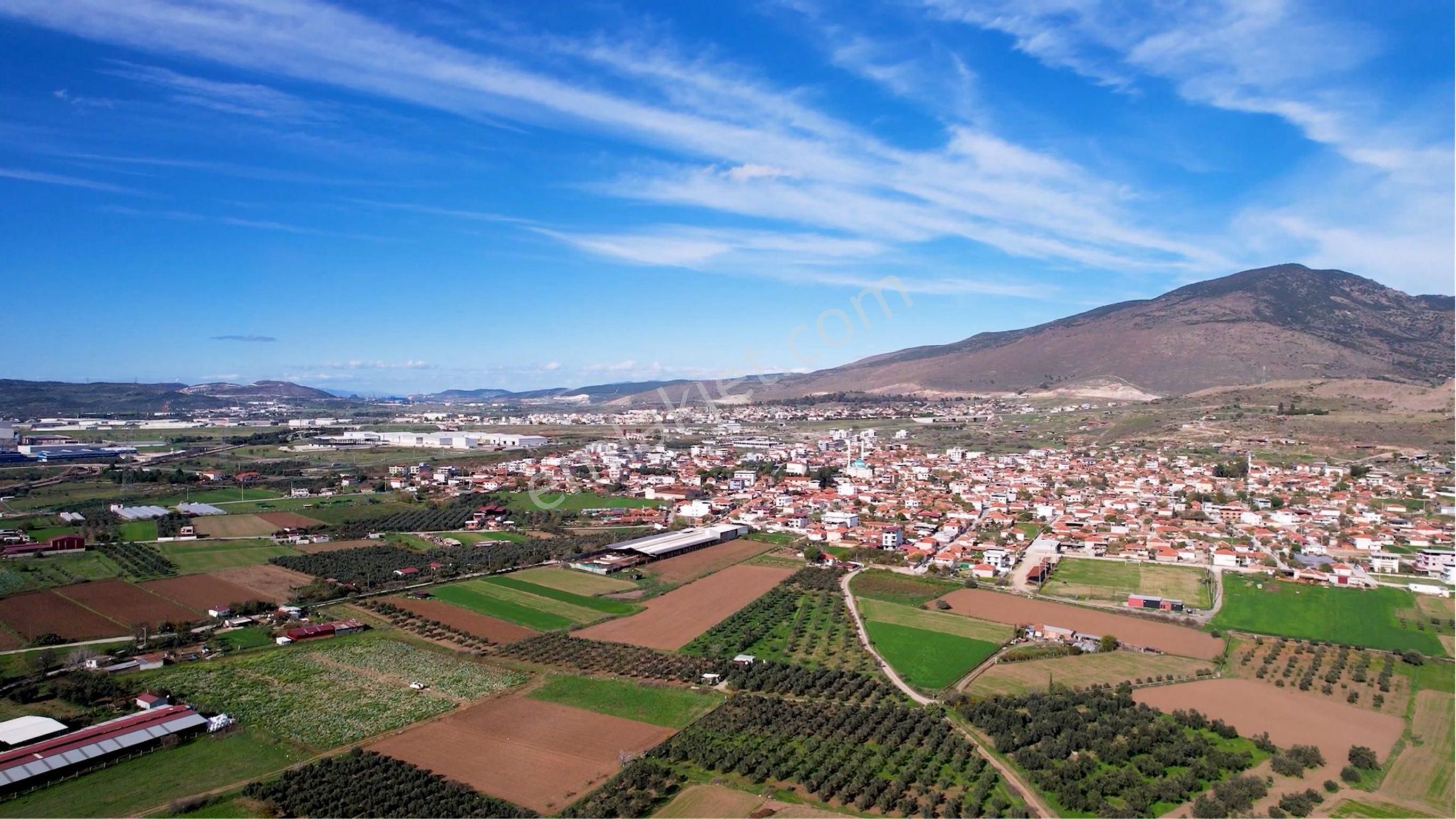 Türkelli Köyün İçinde Satılık Tarla - Görsel 18
