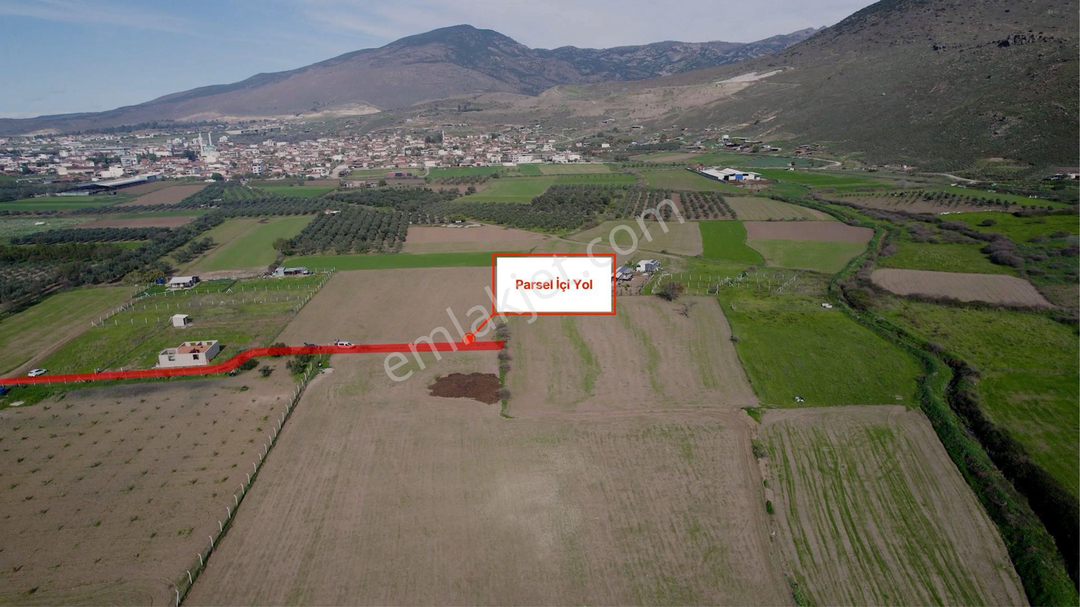 Türkelli Köyün İçinde Satılık Tarla - Görsel 31