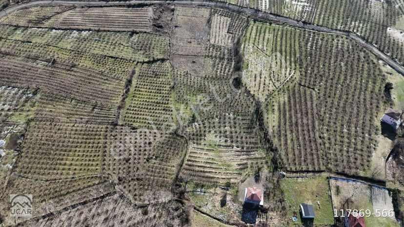 Lerox Uçar'dan Mescitli Mahallesinde Yatırım Fırsatı - Görsel 5
