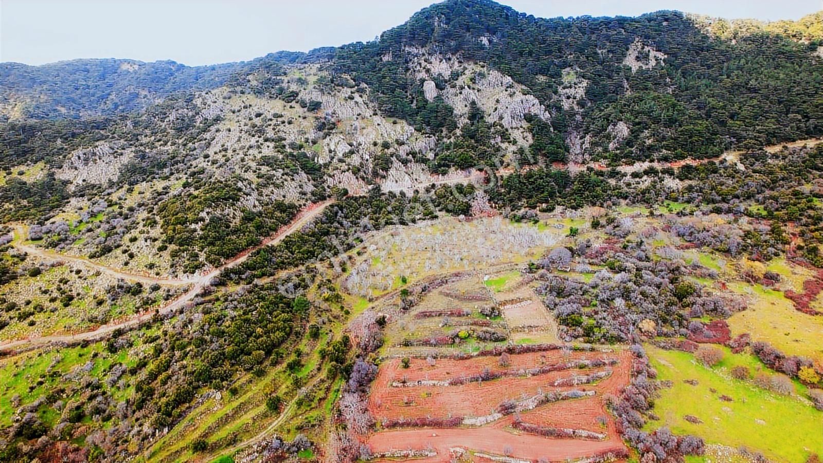 Çamiçi Yaylada Satılık Tapulu Arazi - Görsel 2