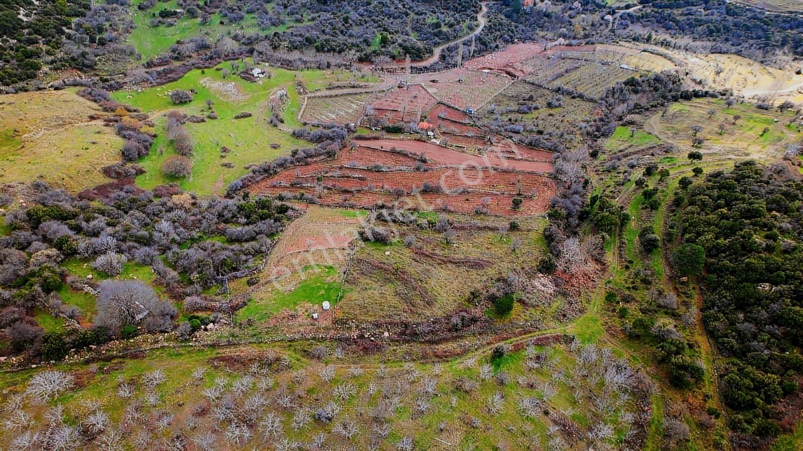 Çamiçi Yaylada Satılık Tapulu Arazi - Görsel 5
