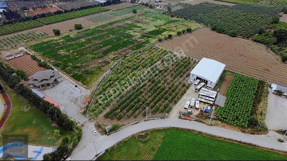 Bursa Çukurca'da Sukay Park Yanı Asfalta Cephe Arazi