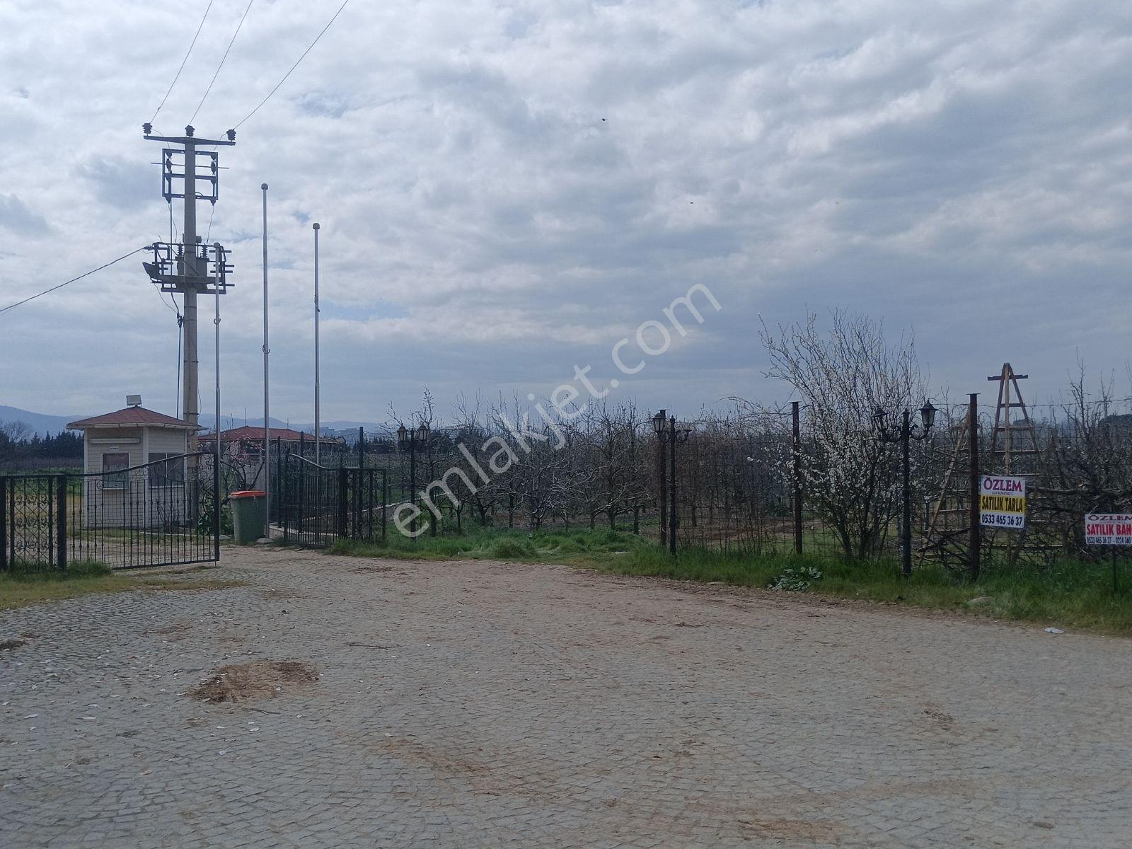 Bursa Çukurca'da Sukay Park Yanı Asfalta Cephe Arazi - Görsel 10