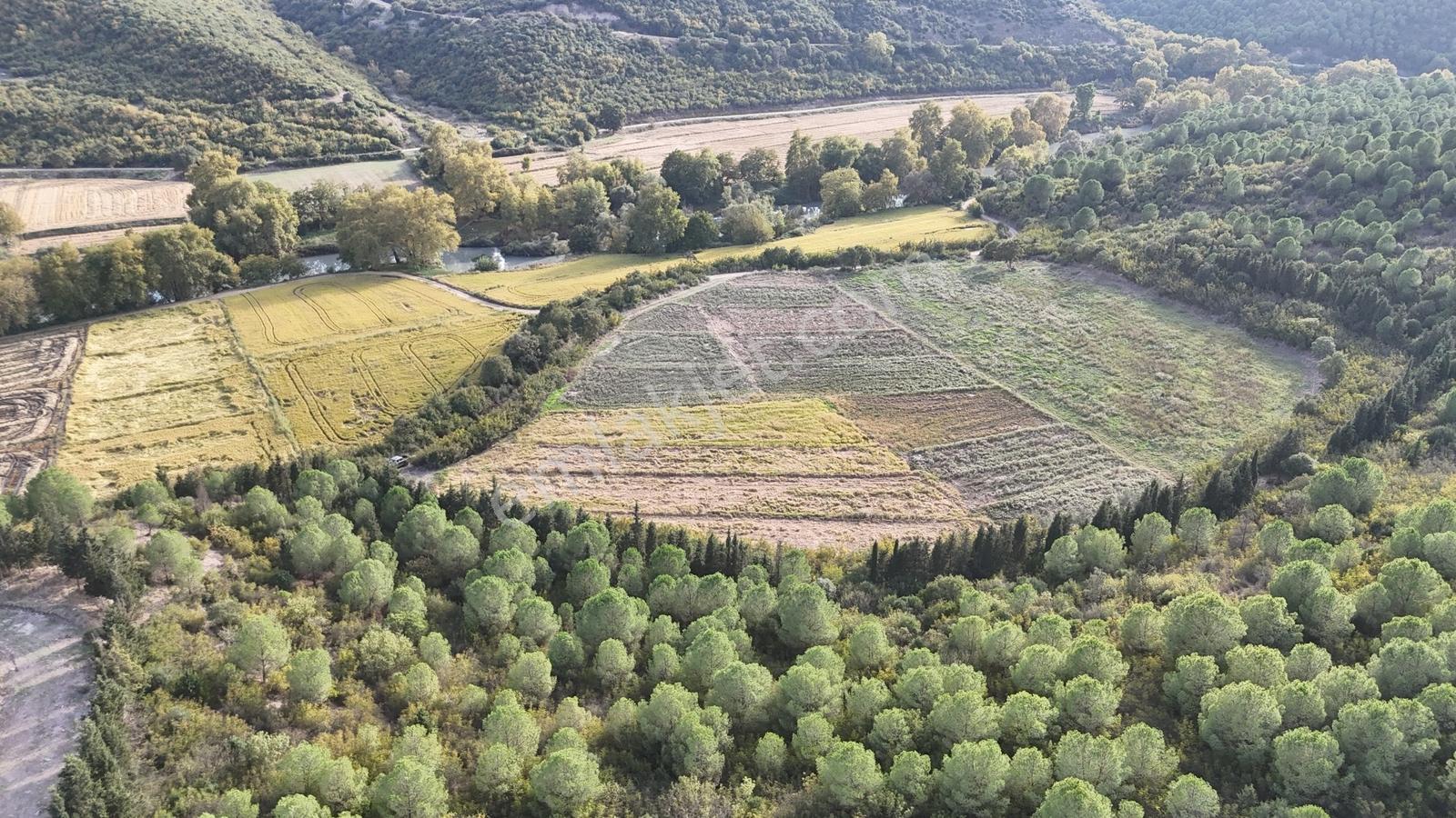 Expert'ten Gönen Gebeçınar'da Satılık 4.100m² Tarla