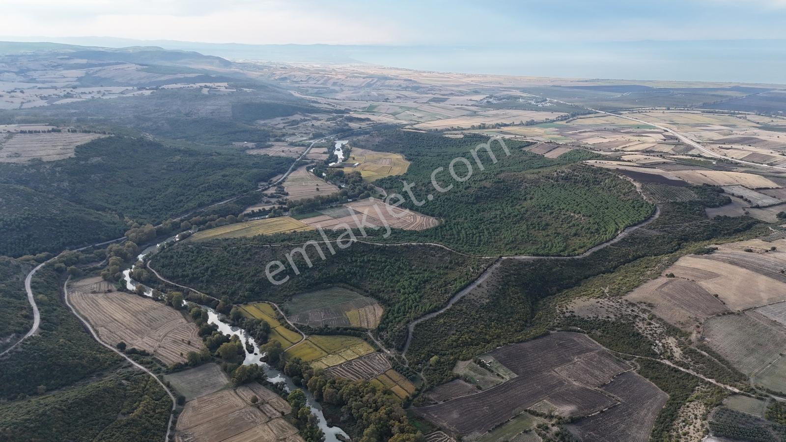 Expert'ten Gönen Gebeçınar'da Satılık 4.100m² Tarla - Görsel 4