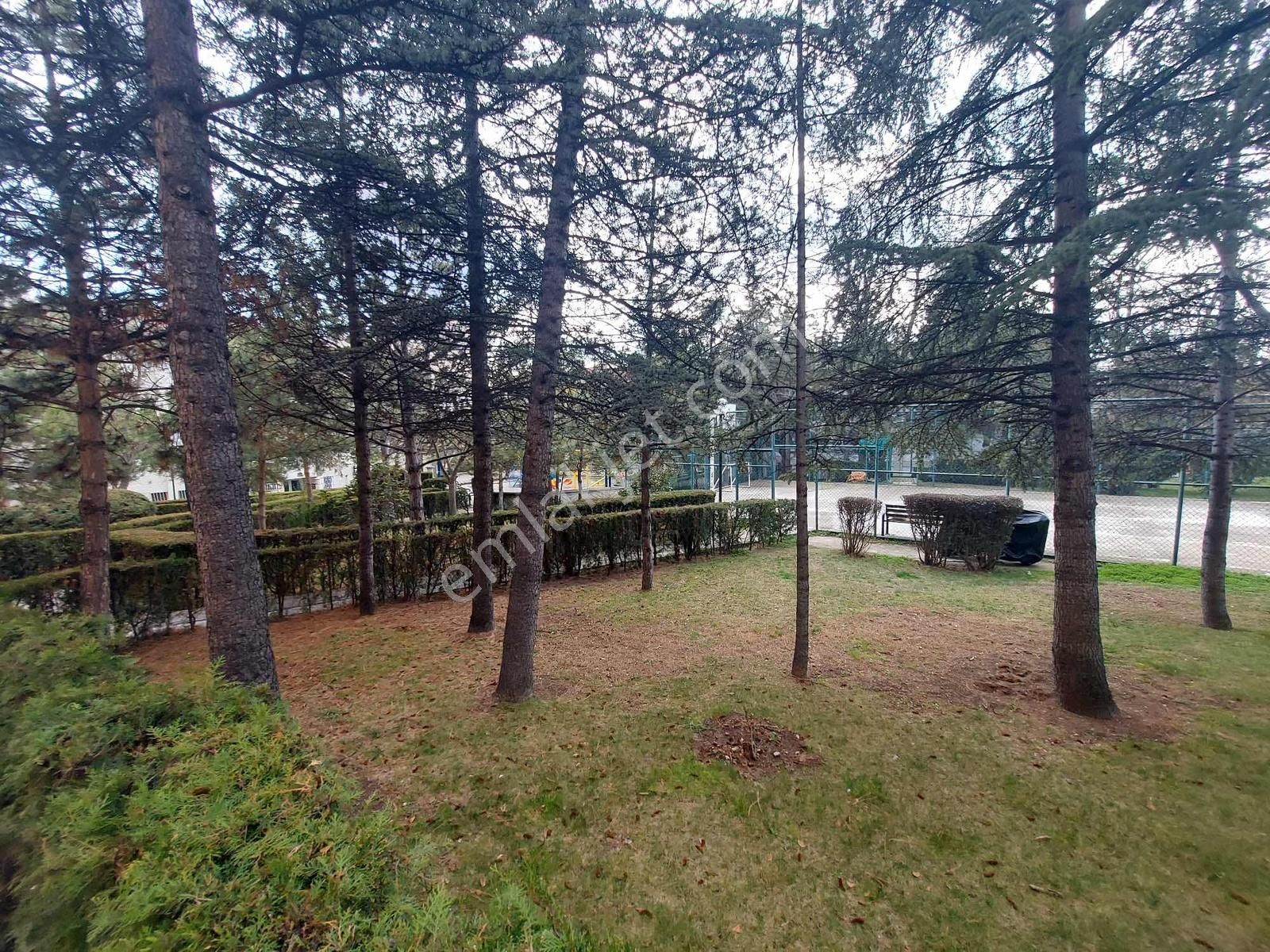 ''eryaman Efor''dan Katta Eşyalı 1+1 Kiralık Daire - Görsel 33