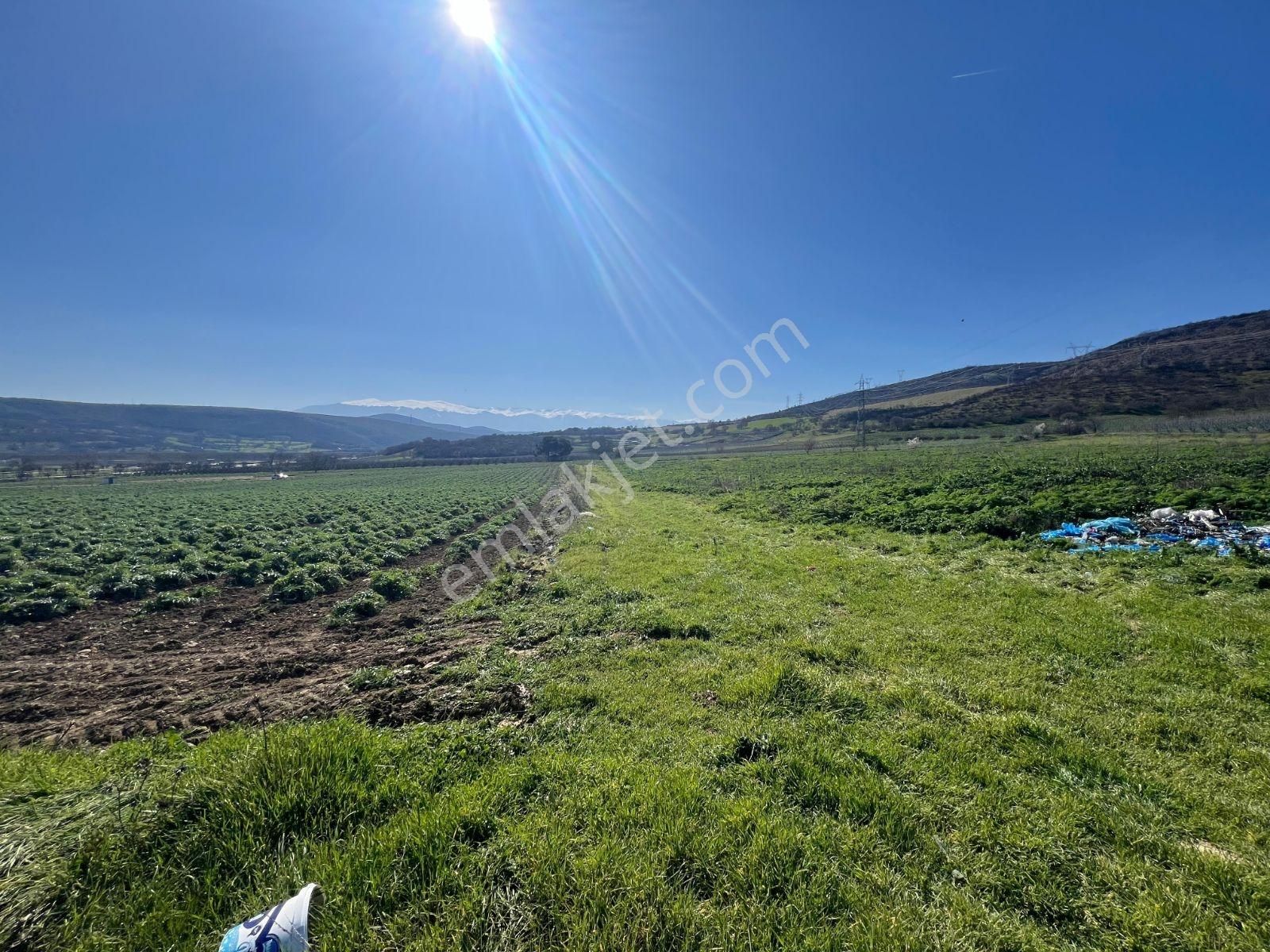 Blue Life Elit'den Kestel Seymende 2.824m2 Satılık Tarla