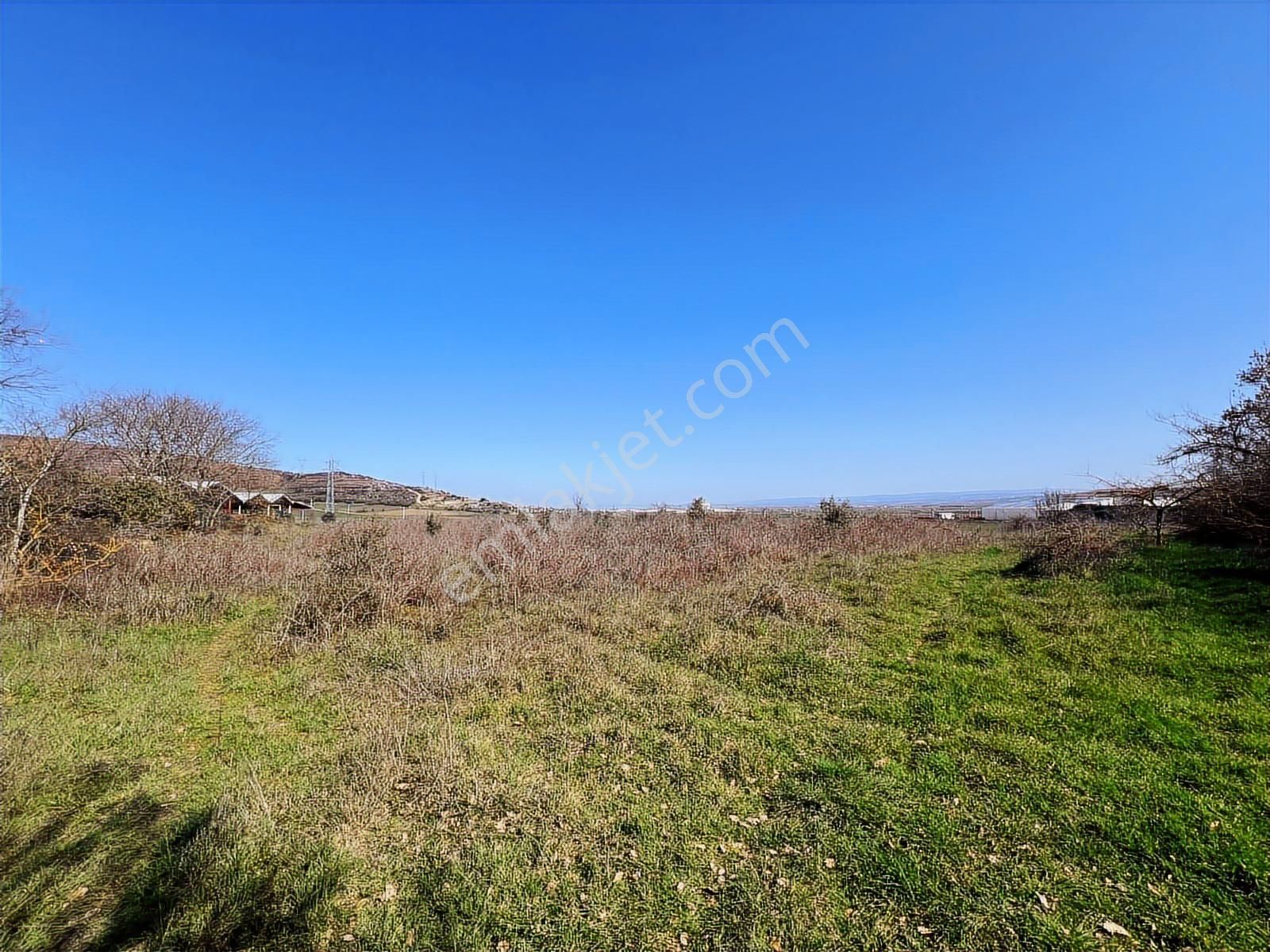 Blue Life Elit'den Kestel Seymende 2.824m2 Satılık Tarla - Görsel 3