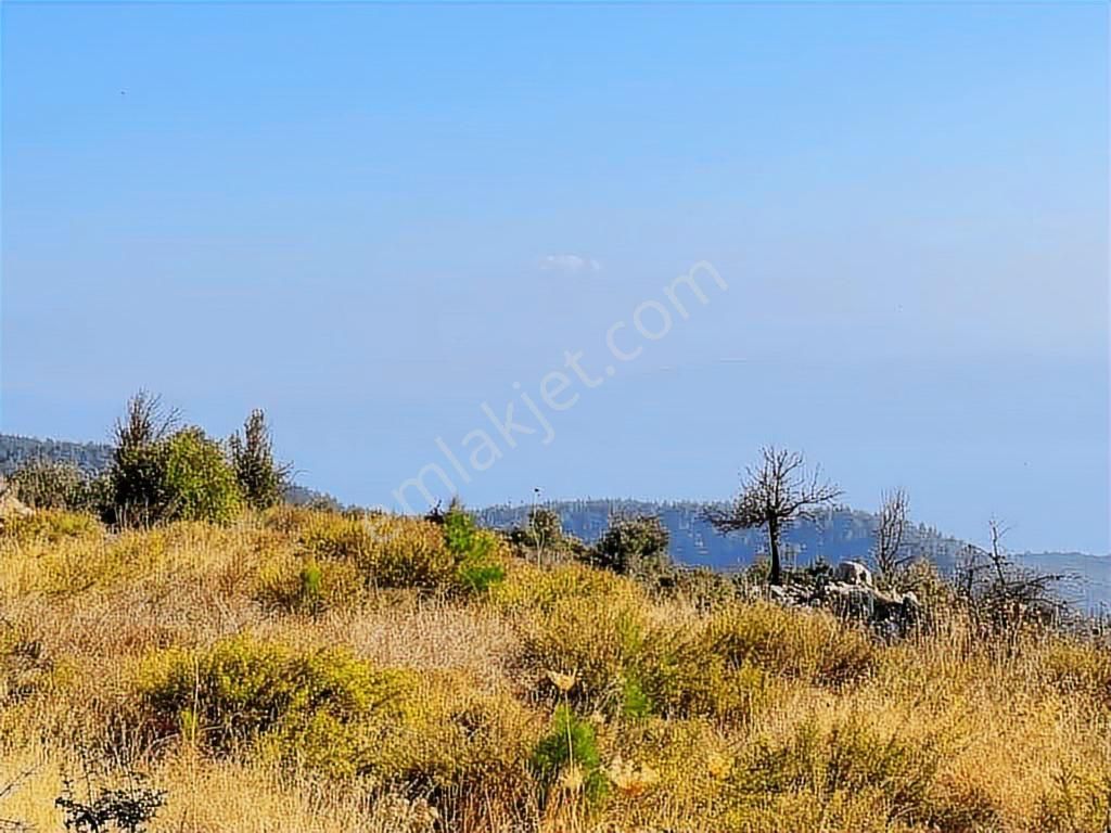 Zeytinköy'de Akbük Yolu Üzerinde, Geleceğin Değeri: 4.188m²tarla - Görsel 8
