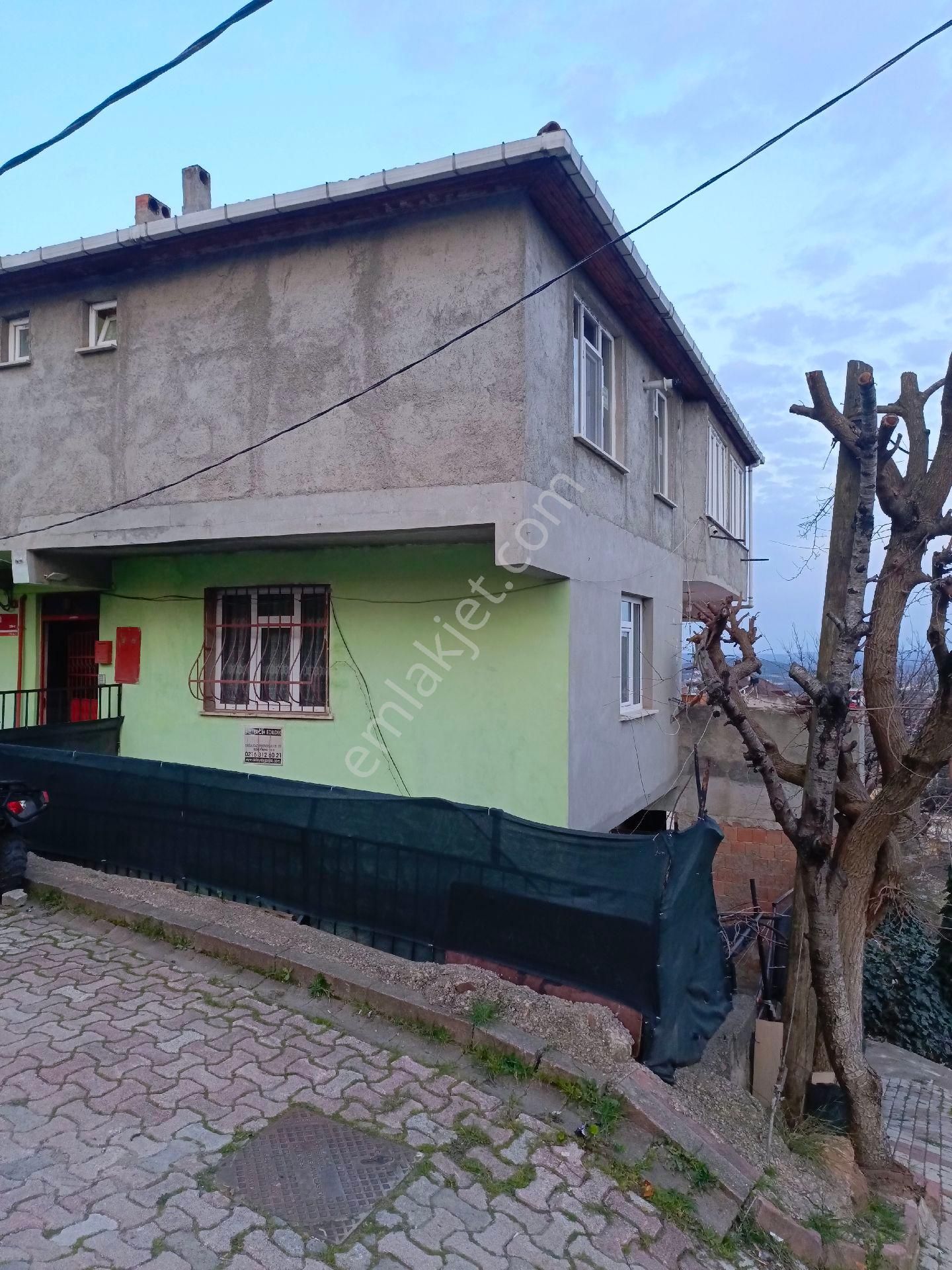 1+1 Kiralık - Görsel 4