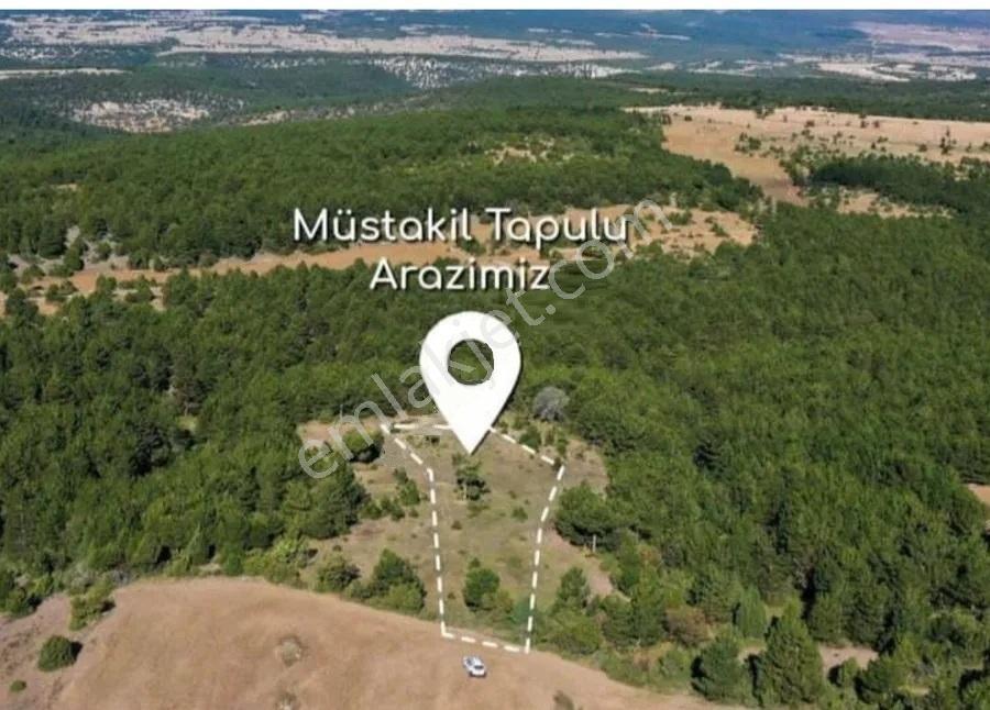 Telefon Parasına Toprağa Yatırım Fırsatı Kütahya Aslanapa - Görsel 6