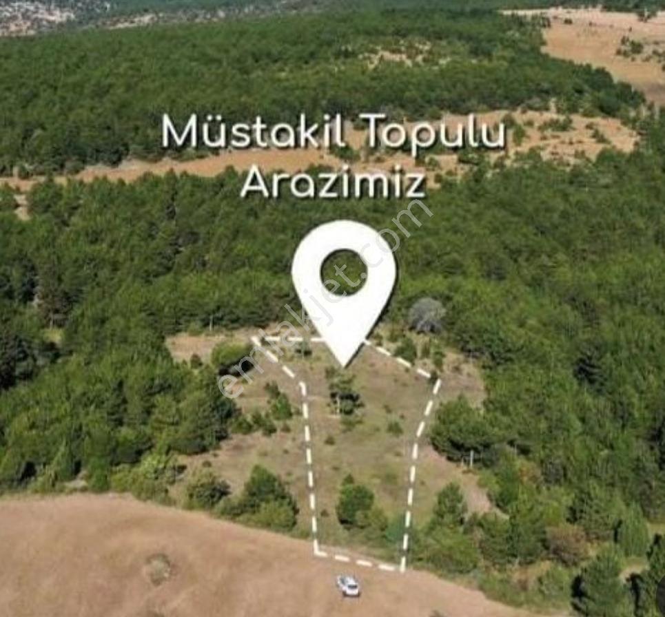 Telefon Parasına Toprağa Yatırım Fırsatı Kütahya Aslanapa