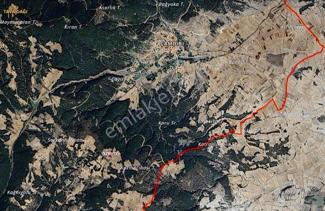 Aslanapa Çamdibi Müstakil Tapulu 1625 M2 Satılık Tarla - Görsel 2