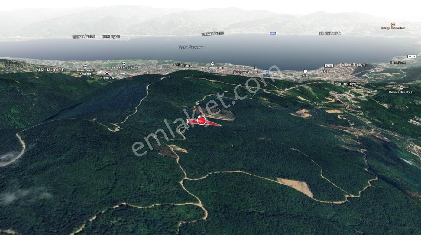 Sapanca Memnuniye Doğa İçinde Müstakil Yola Cephe Fındık Bahçesi - Görsel 3