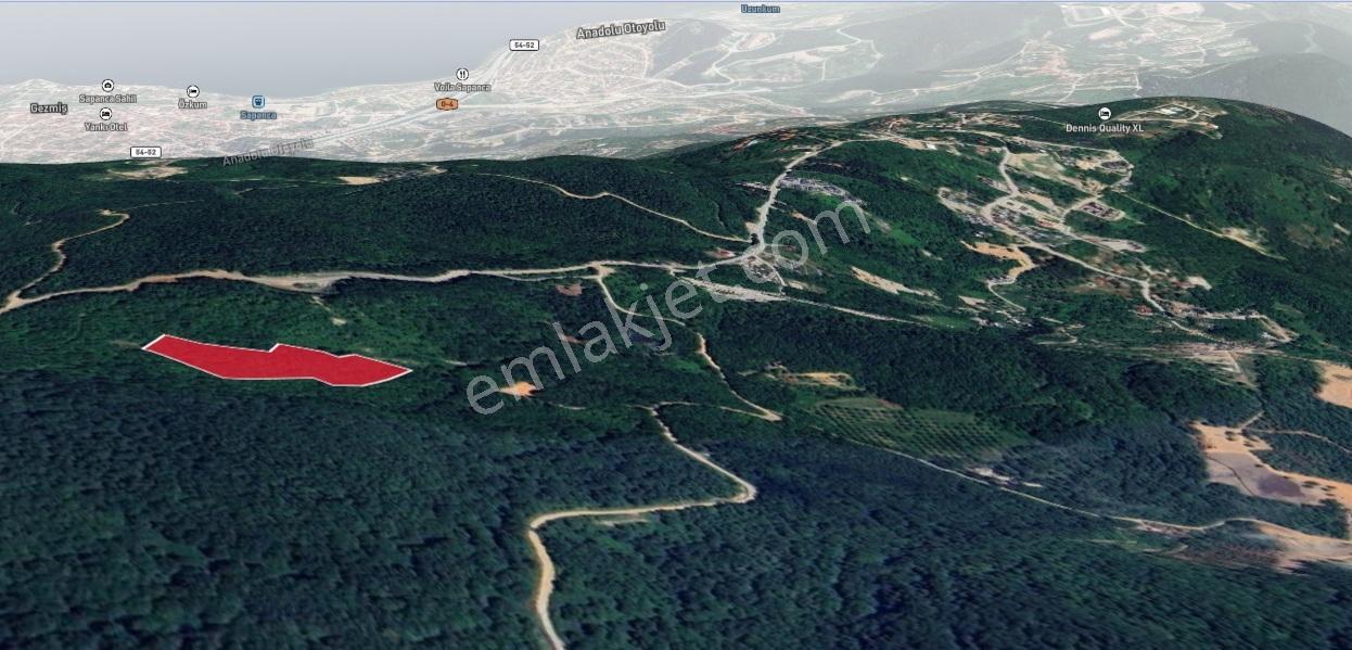 Sapanca Memnuniye Yola Ve Yapılaşmaya Yakın Fındık Bahçesi - Görsel 2