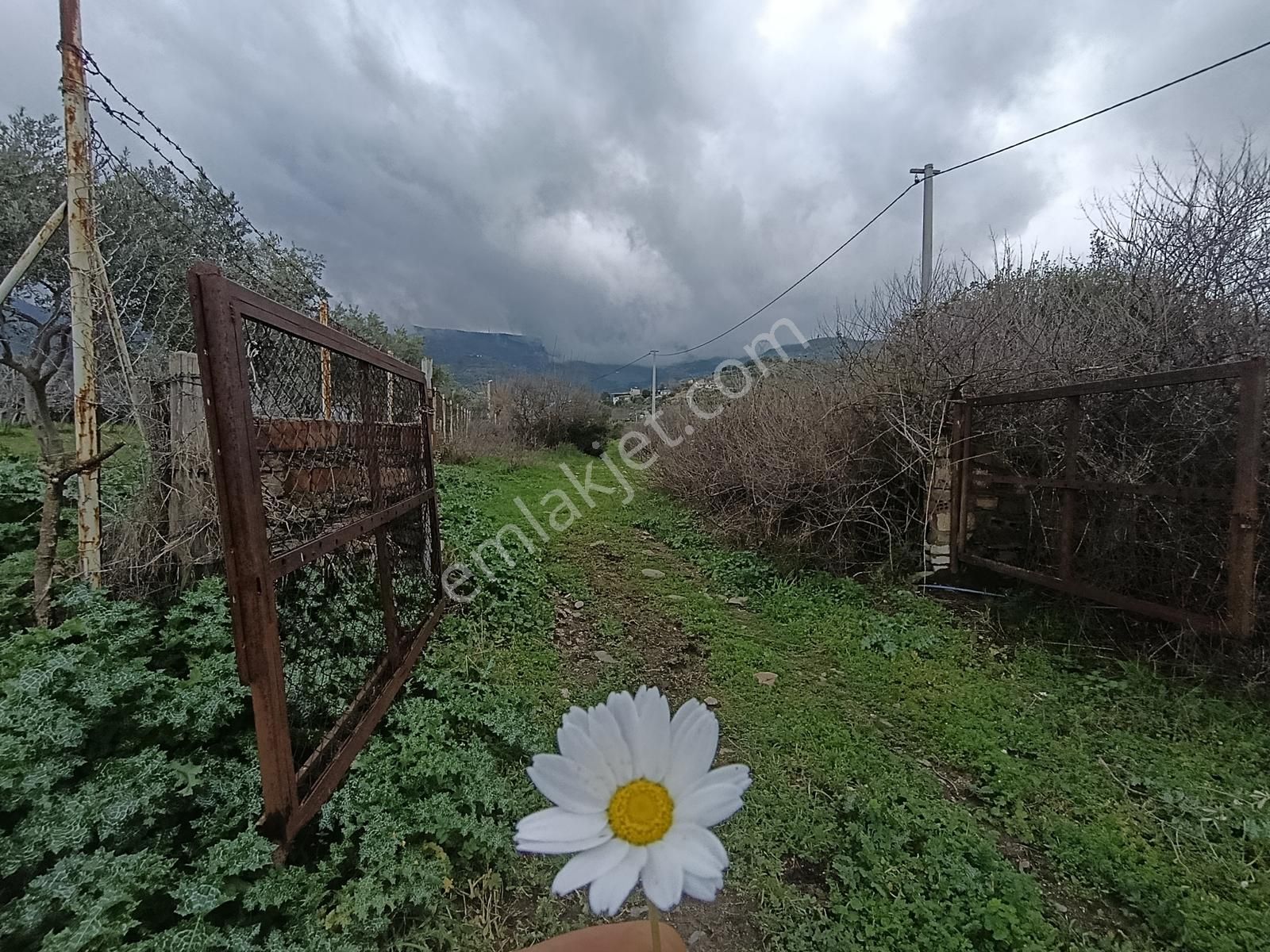 İzmir Tire Turan Mh. Müstakil Ev Ve Arazi