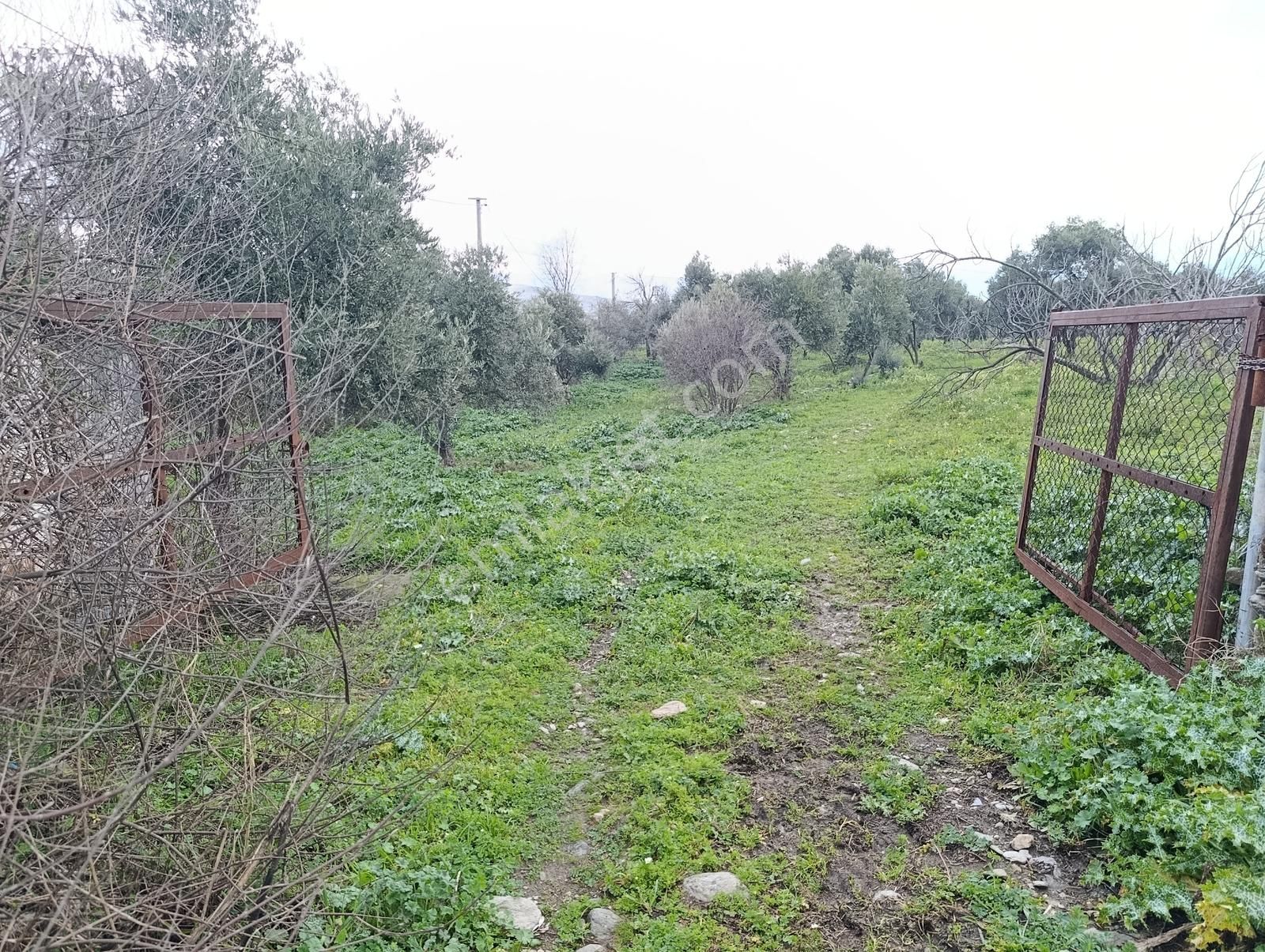 İzmir Tire Turan Mh. Müstakil Ev Ve Arazi - Görsel 11