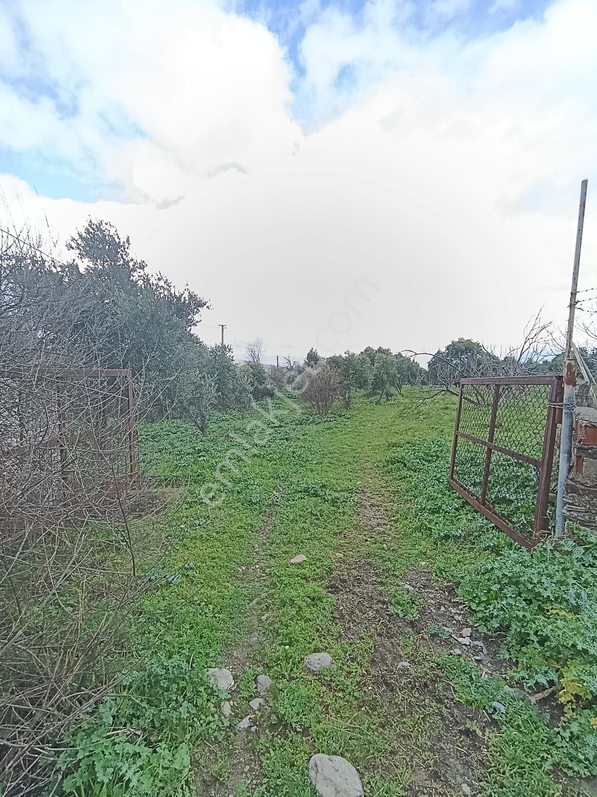 İzmir Tire Turan Mh. Müstakil Ev Ve Arazi - Görsel 13