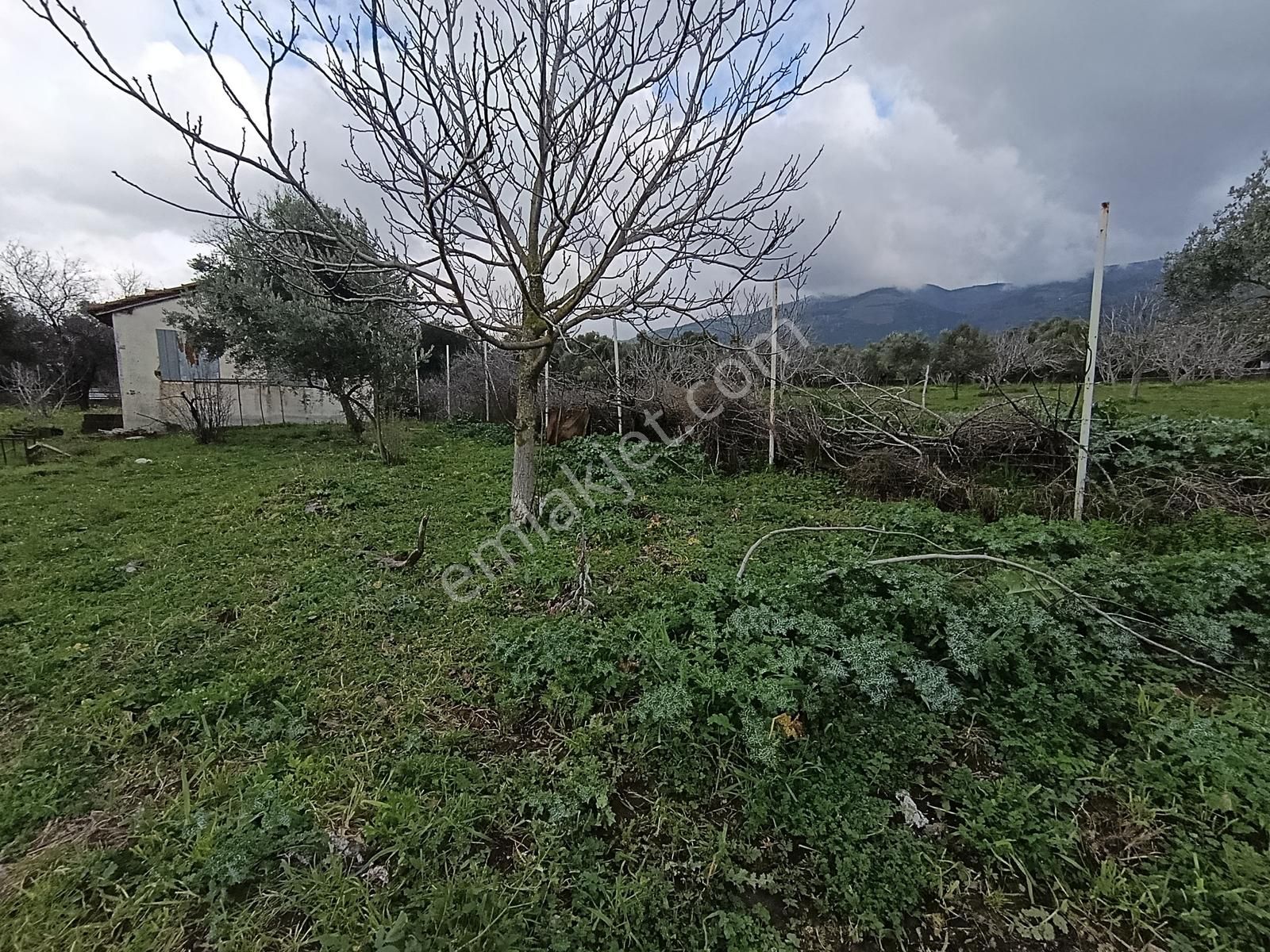 İzmir Tire Turan Mh. Müstakil Ev Ve Arazi - Görsel 8