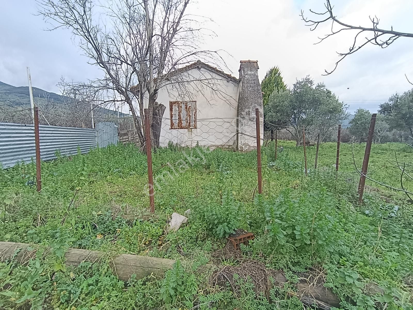 İzmir Tire Turan Mh. Müstakil Ev Ve Arazi - Görsel 10