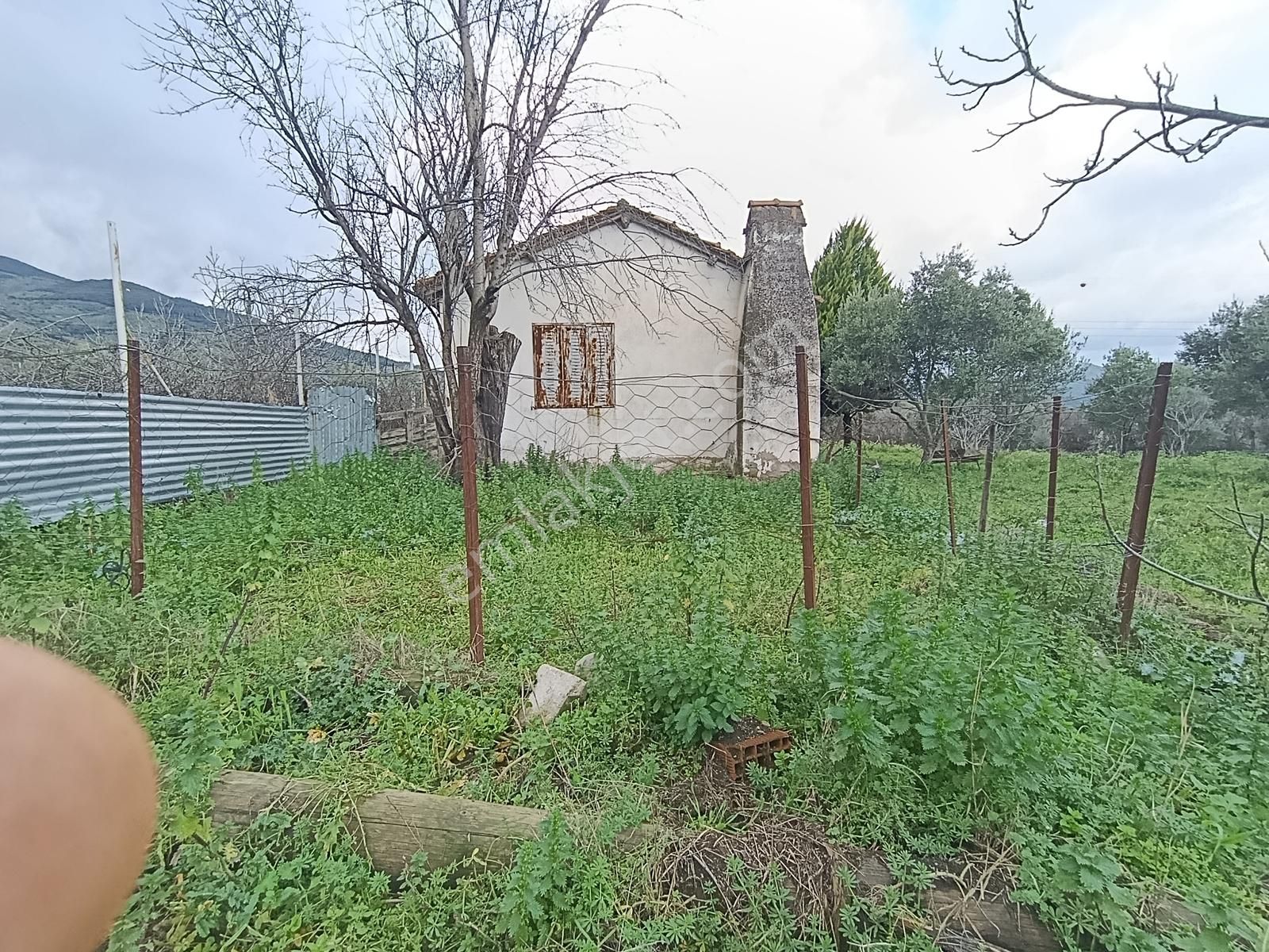 İzmir Tire Turan Mh. Müstakil Ev Ve Arazi - Görsel 7