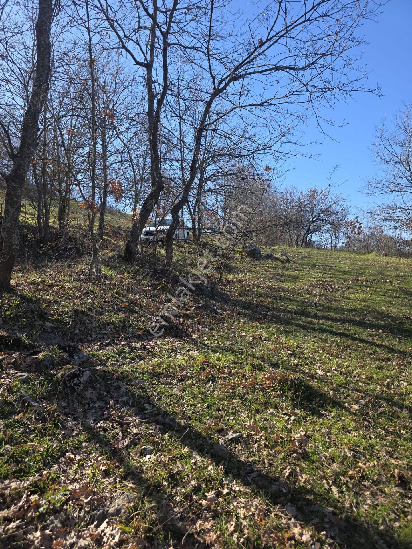 İnegöl Manzaralı Olukman Köyünde Satılık 3.402 M² Tarla - Görsel 2