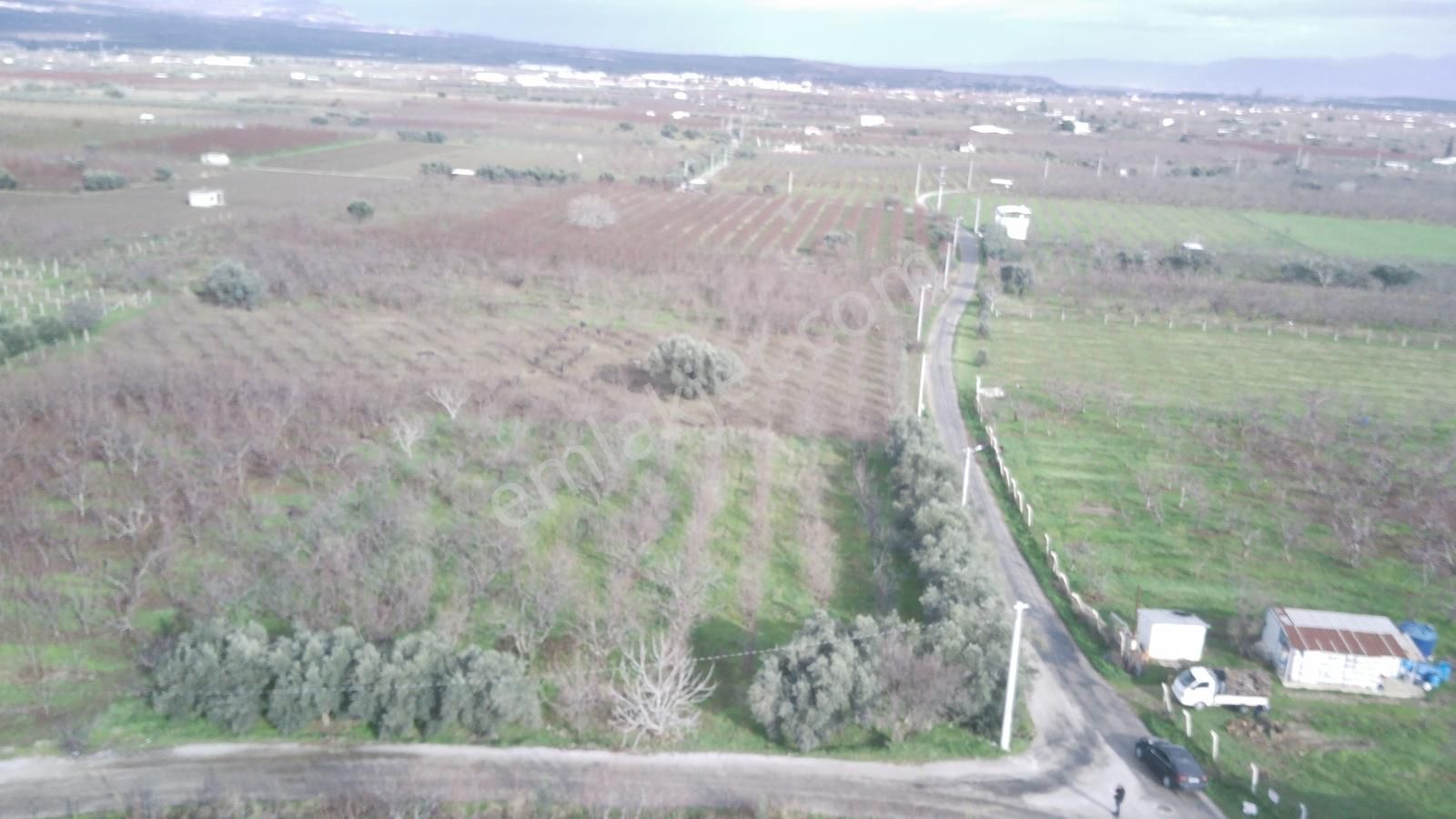 İzmir Kemalpaşa Örende Satılık Kıraz Bahcesi - Görsel 15