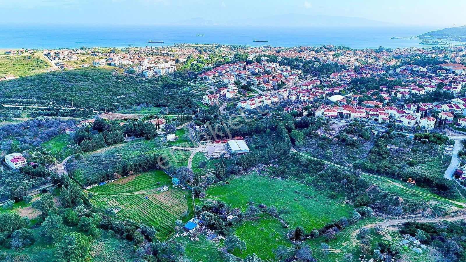 Datça Mh.imar Sınırı Genişleme Alanı İçinde 1651m2 Satılık Hisse - Görsel 5