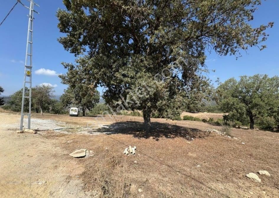 Hedef'ten Kuzucubelen'de 840m2 Satılık Arsa - Görsel 2