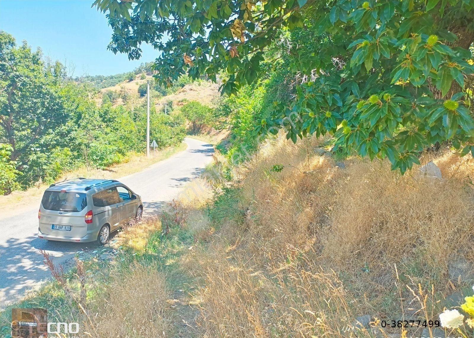 Aydın Satılık Kestane Bahçesi Ana Asfalt Yola Sıfır - Görsel 25