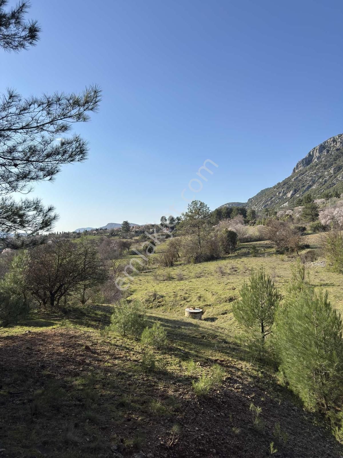 Muğla Menteşe Yaraş Mah Soda Mevkii 4.344 M2 Yatırımlık Tarla - Görsel 31