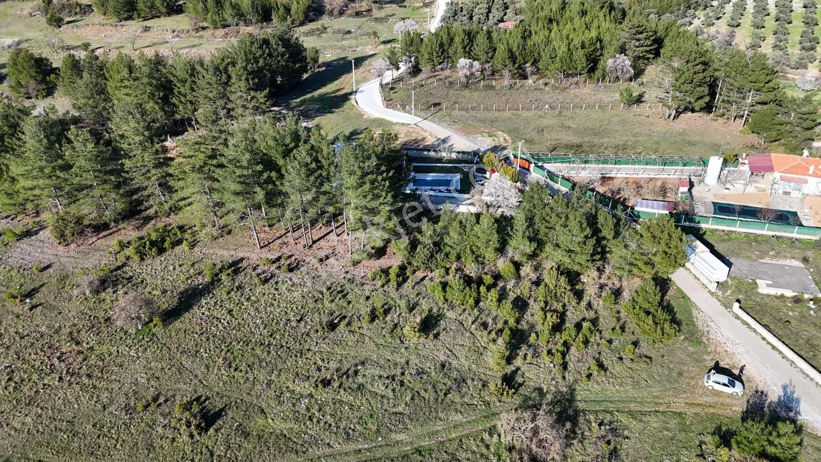 Muğla Menteşe Yaraş Mah Soda Mevkii 4.344 M2 Yatırımlık Tarla - Görsel 4
