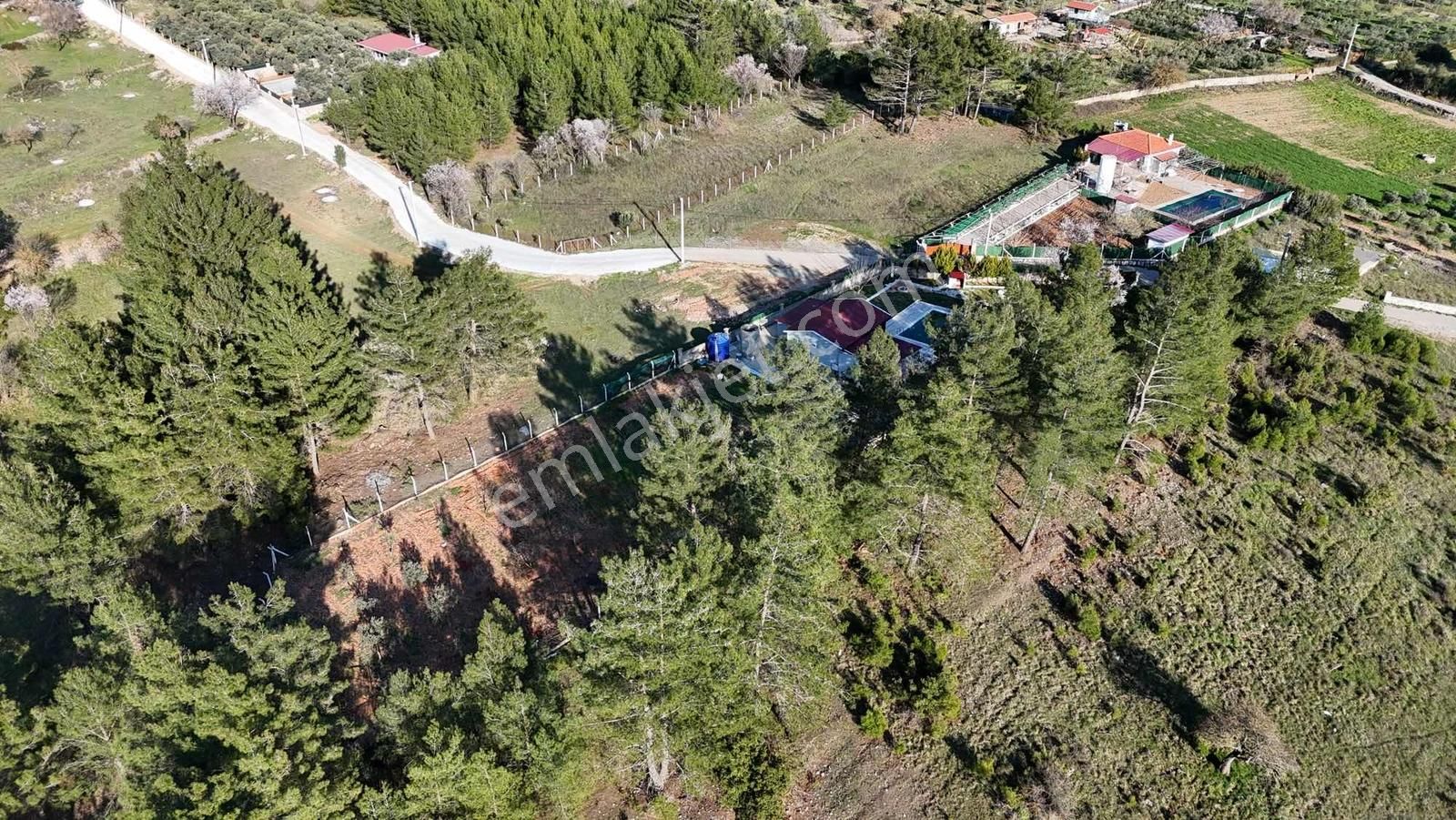 Muğla Menteşe Yaraş Mah Soda Mevkii 4.344 M2 Yatırımlık Tarla - Görsel 2