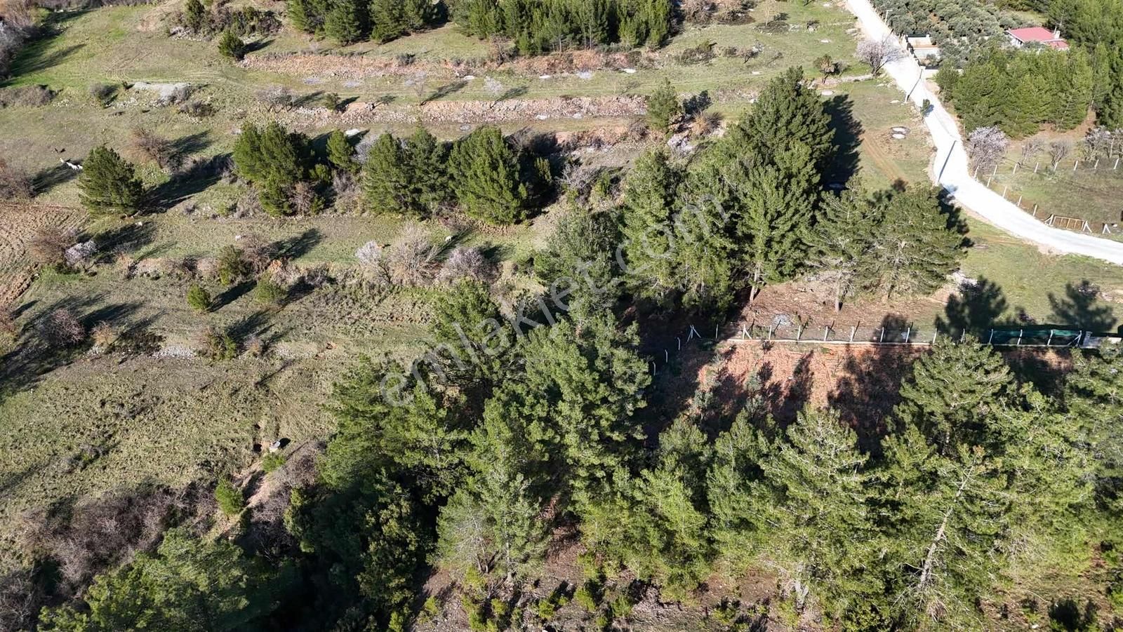 Muğla Menteşe Yaraş Mah Soda Mevkii 4.344 M2 Yatırımlık Tarla - Görsel 17