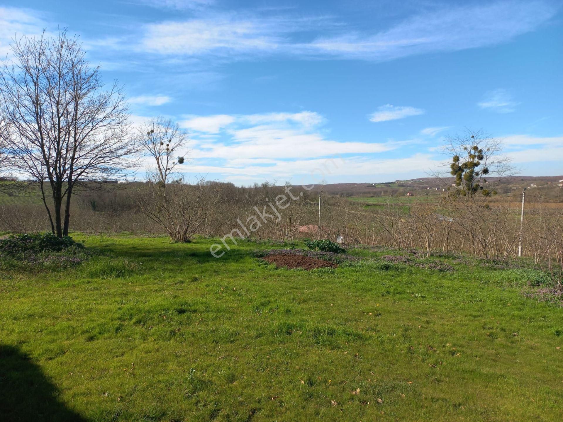 Remax Maviden Kaynarca/karaçalıda 160m Yola Cephe Fındık Bahçesi - Görsel 12