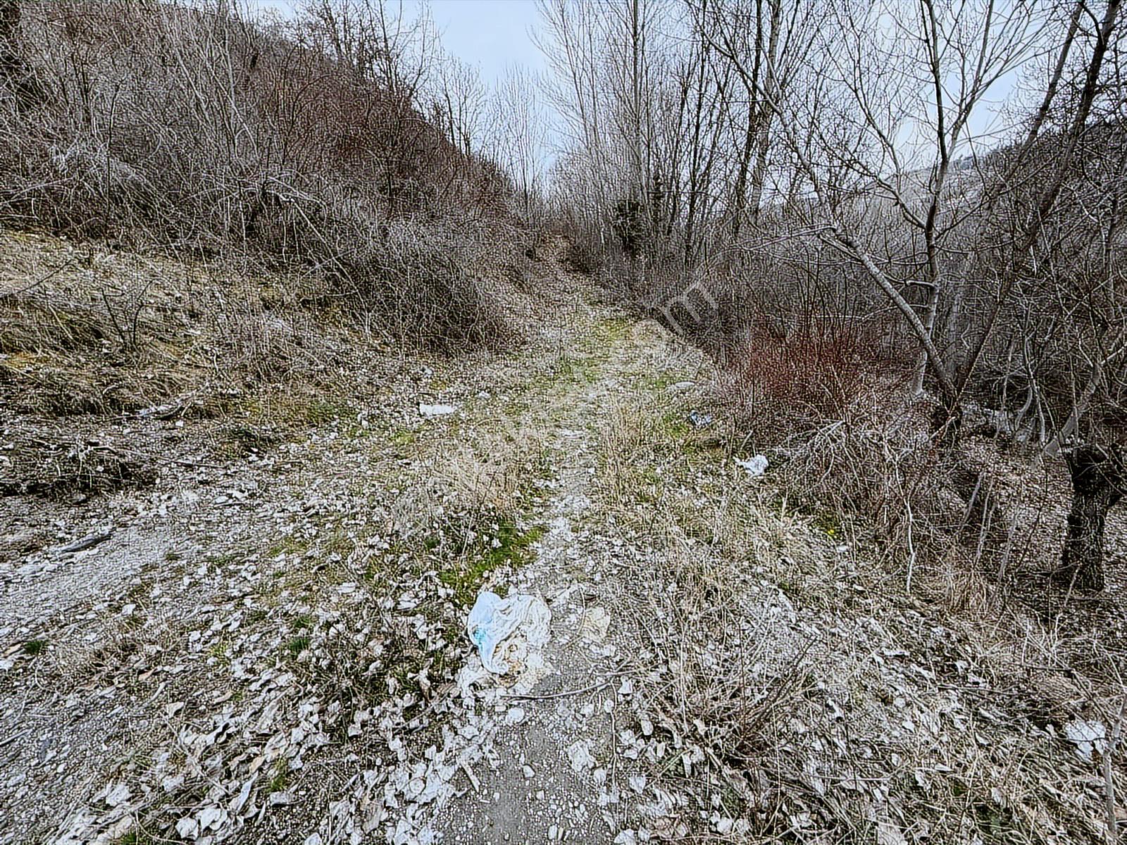 ꧁▇yılmaz'dan▇꧂kıbrısköy Kanyonda Yolu Açık Kapılı Bahçe - Görsel 5