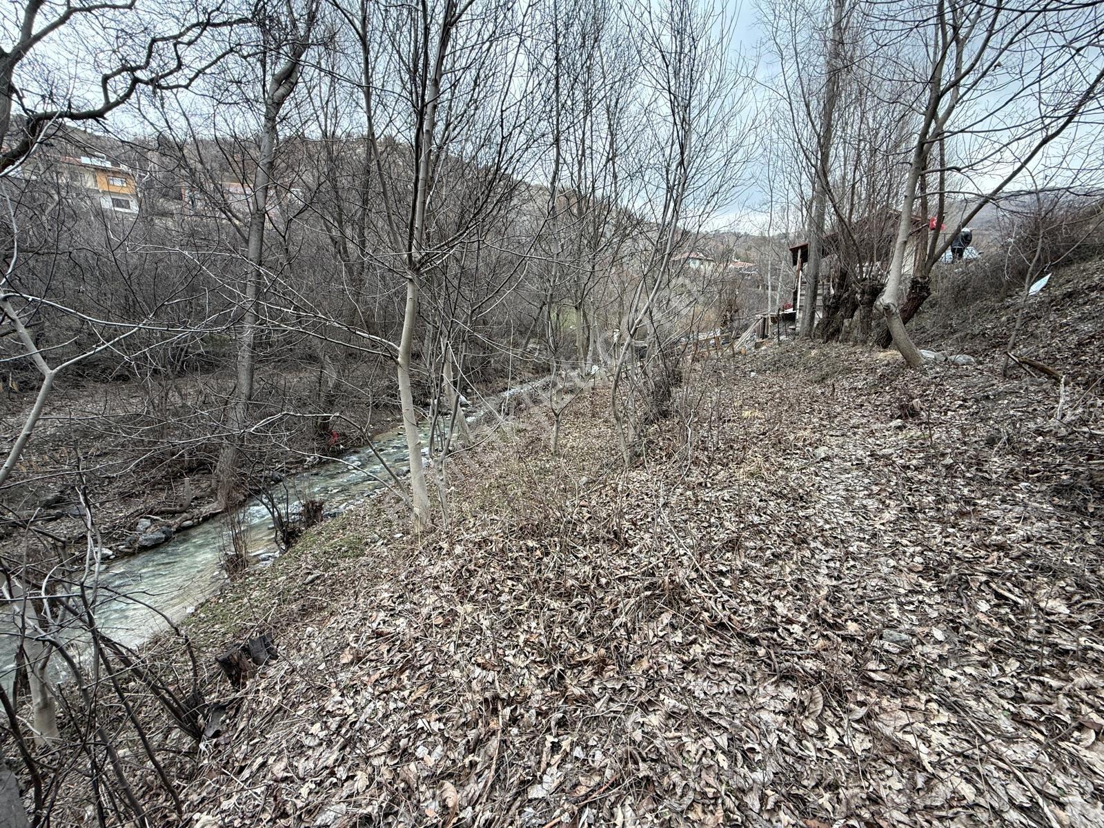 ꧁▇yılmaz'dan▇꧂kıbrısköy Kanyonda Yolu Açık Kapılı Bahçe - Görsel 16
