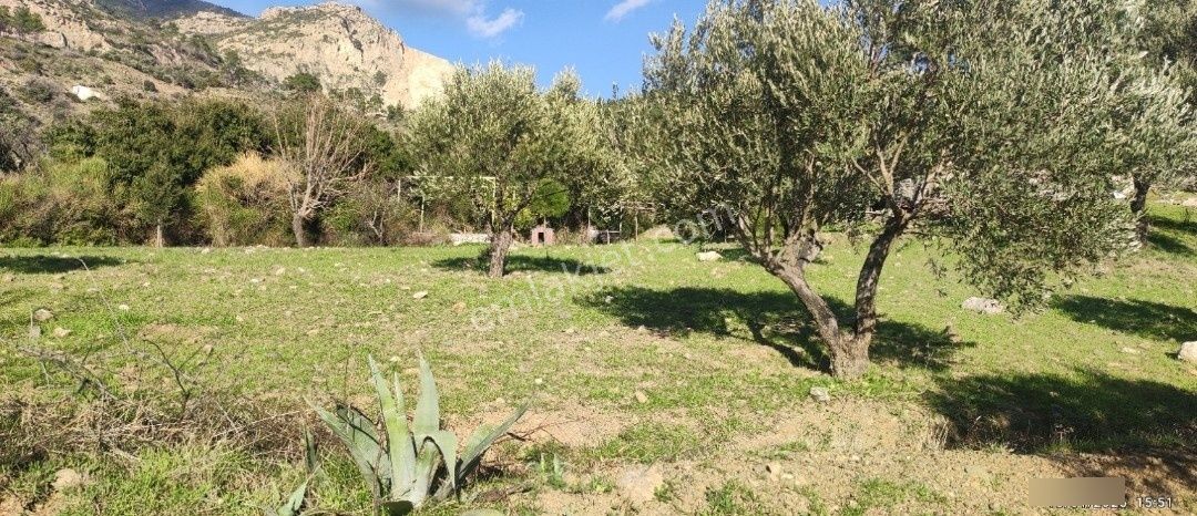 Datça Mesudiye'de Full Deniz Manzaralı Fırsat 2313 M2 Tarla - Görsel 21