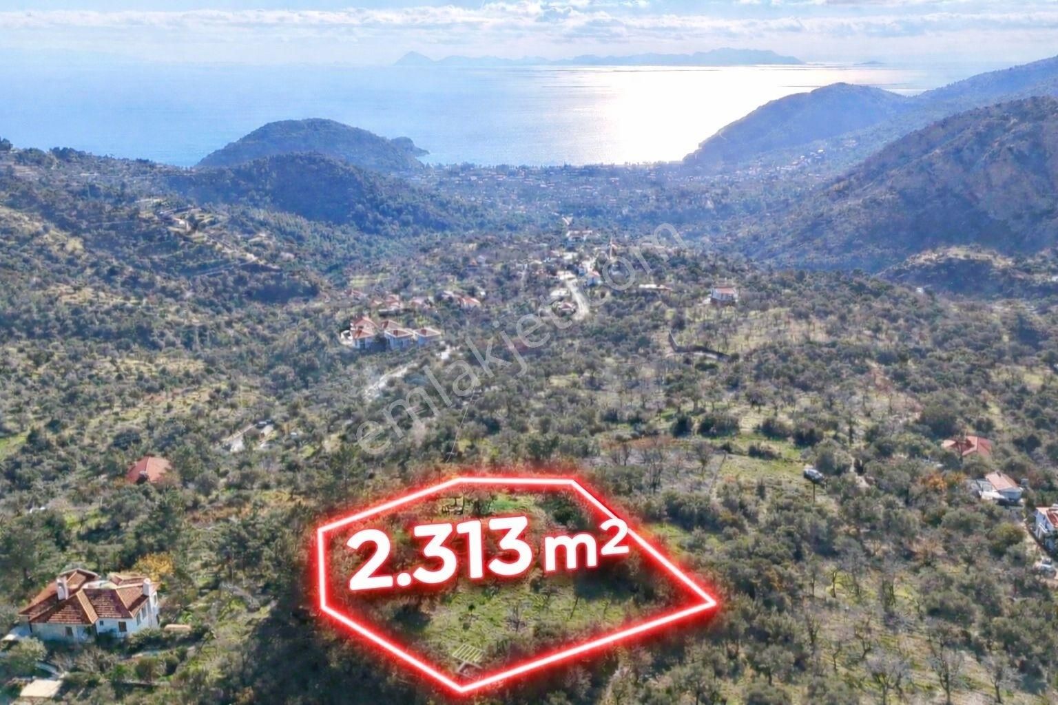 Datça Mesudiye'de Full Deniz Manzaralı Fırsat 2313 M2 Tarla - Görsel 2