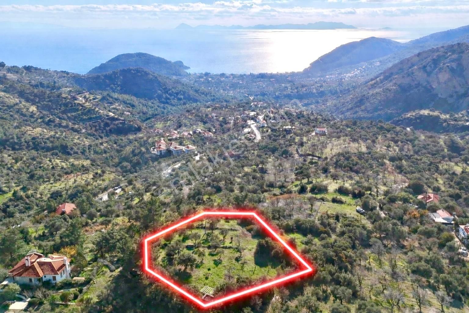 Datça Mesudiye'de Full Deniz Manzaralı Fırsat 2313 M2 Tarla - Görsel 4