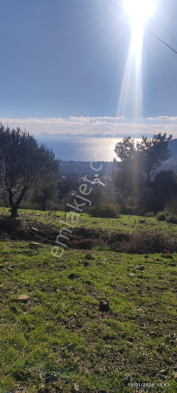 Datça Mesudiye'de Full Deniz Manzaralı Fırsat 2313 M2 Tarla - Görsel 7