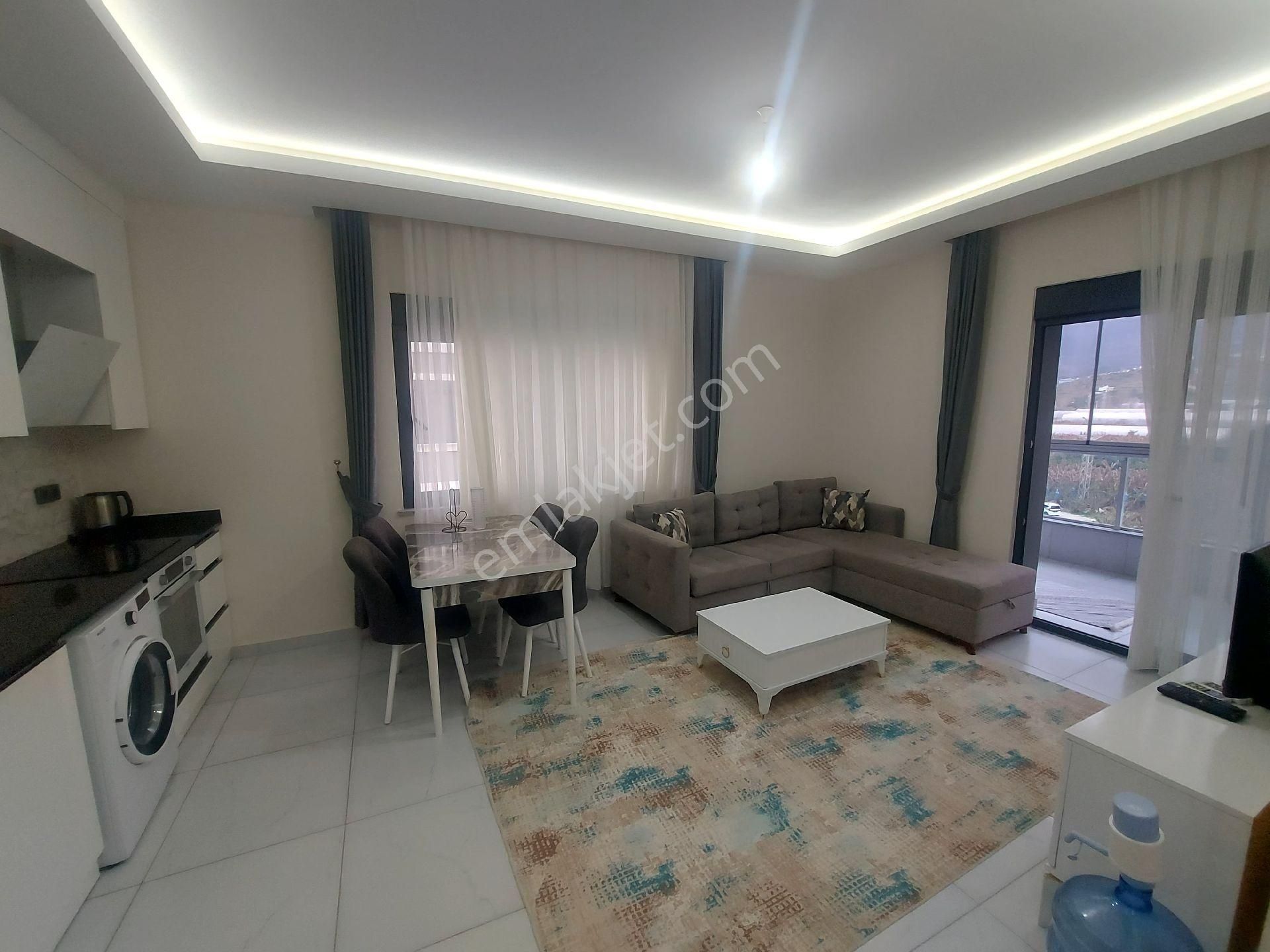 Kargıcak Mahmutlar Sınırında 1+1 - Görsel 8