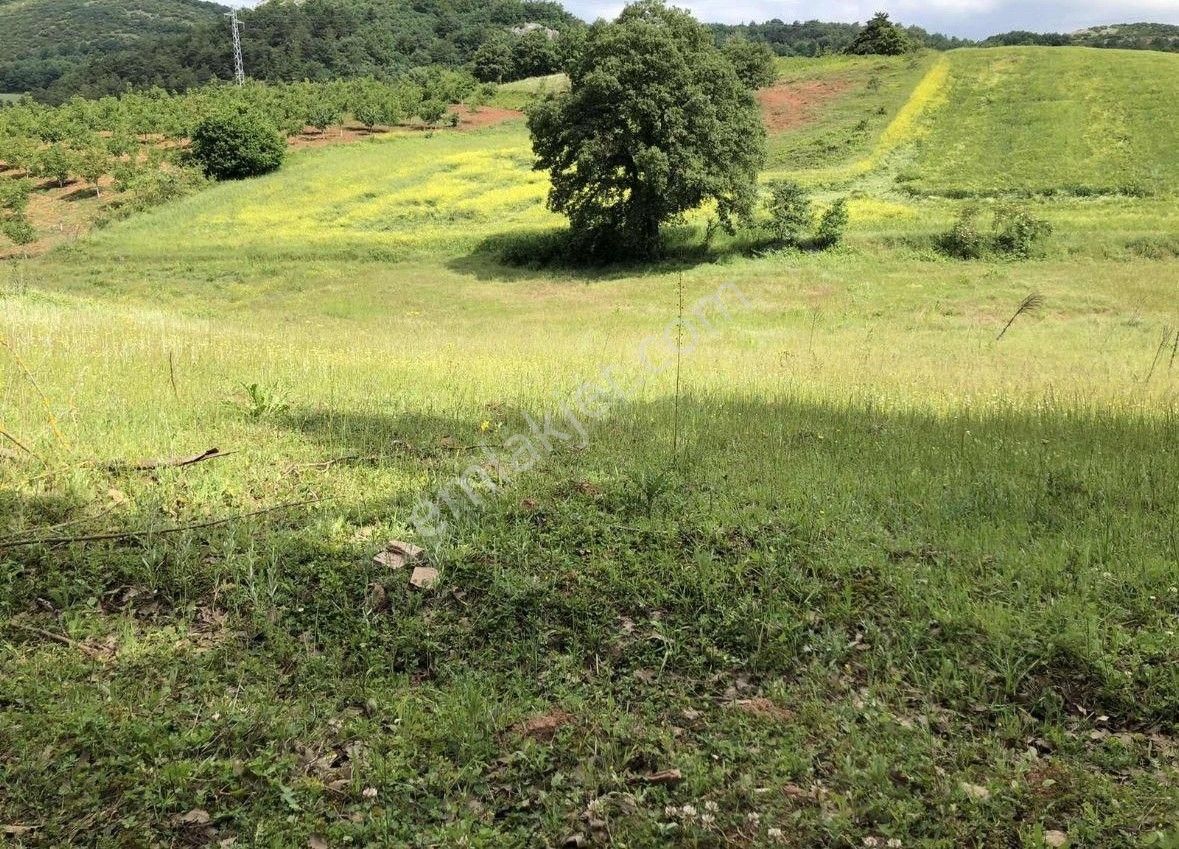 Yenişehirde Değer Kazanan Bölgede Kaçmaz Arazi Fırsatı