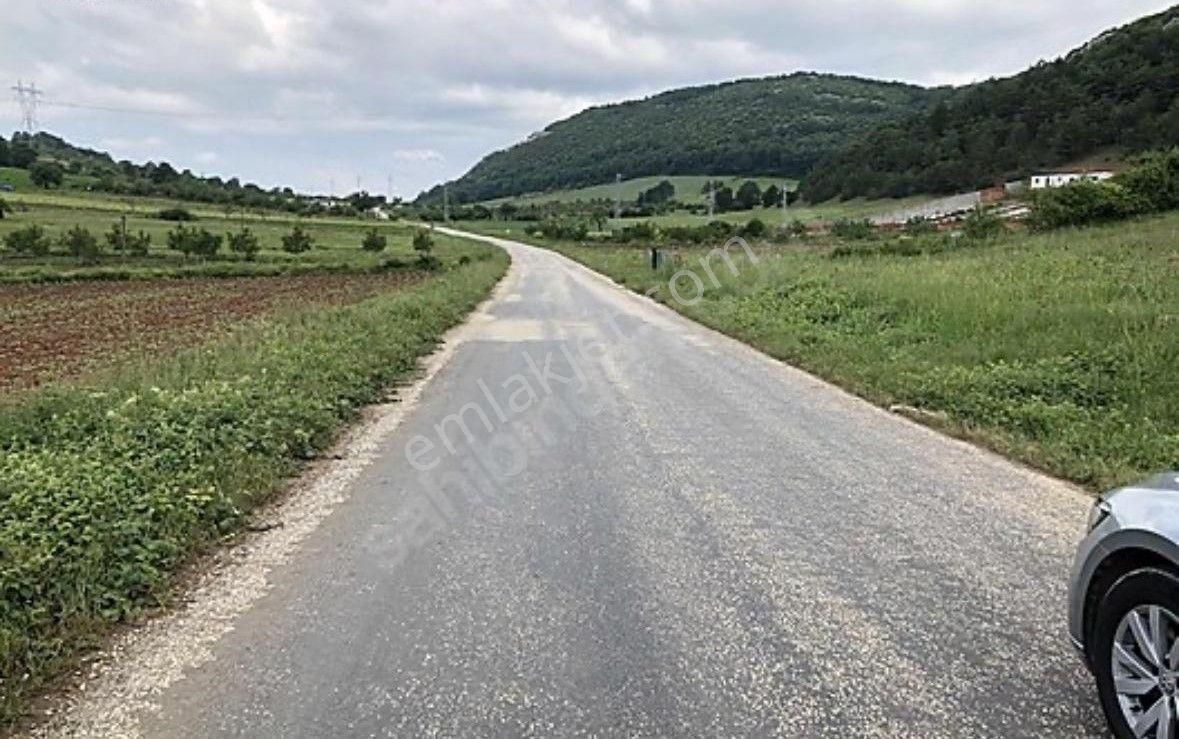 Yenişehirde Değer Kazanan Bölgede Kaçmaz Arazi Fırsatı - Görsel 12