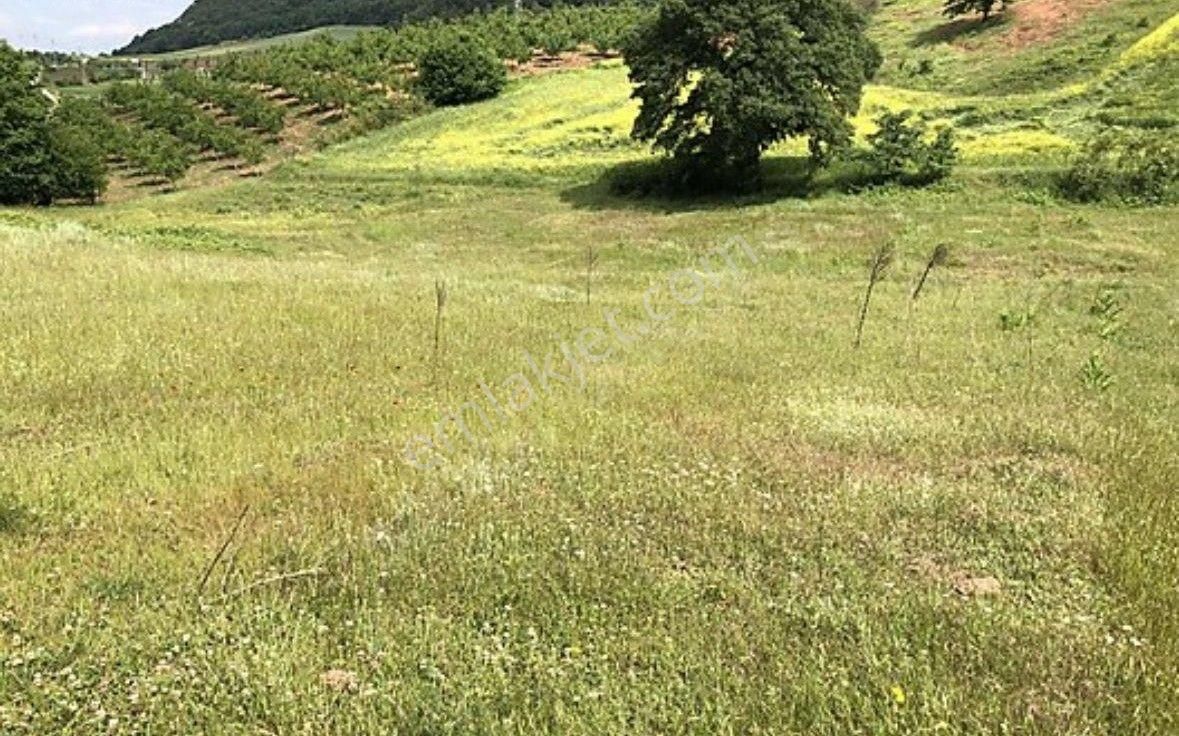 Yenişehirde Değer Kazanan Bölgede Kaçmaz Arazi Fırsatı - Görsel 8