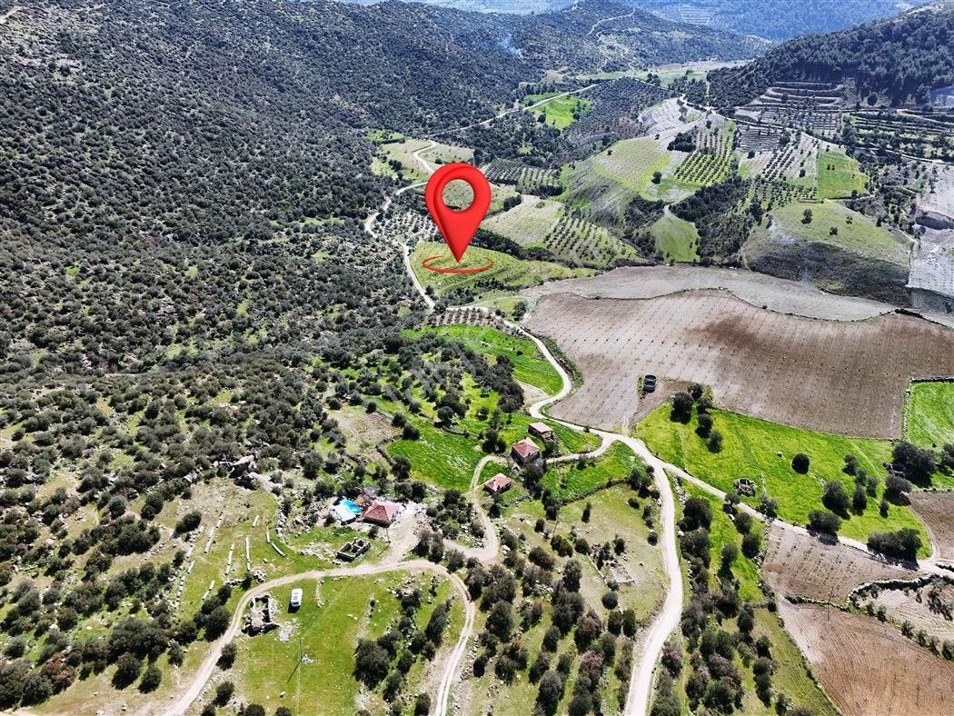 Bozdoğan Yazıkent'de Yatırımlık Eşsiz İncir Ve Zeytinlik