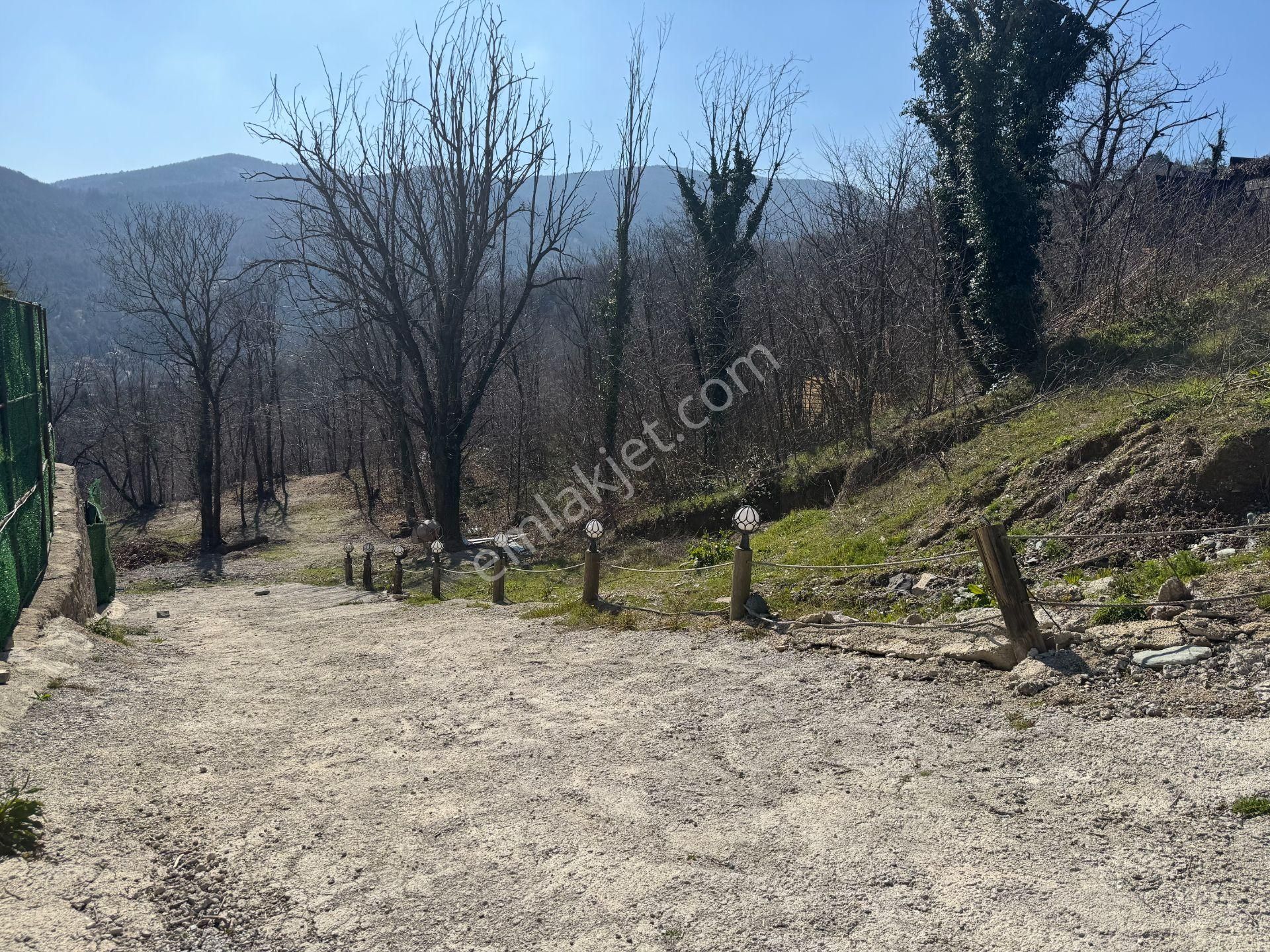 Sapanca Şükriye’de 2003 M2 Satılık Bahçe - Görsel 8