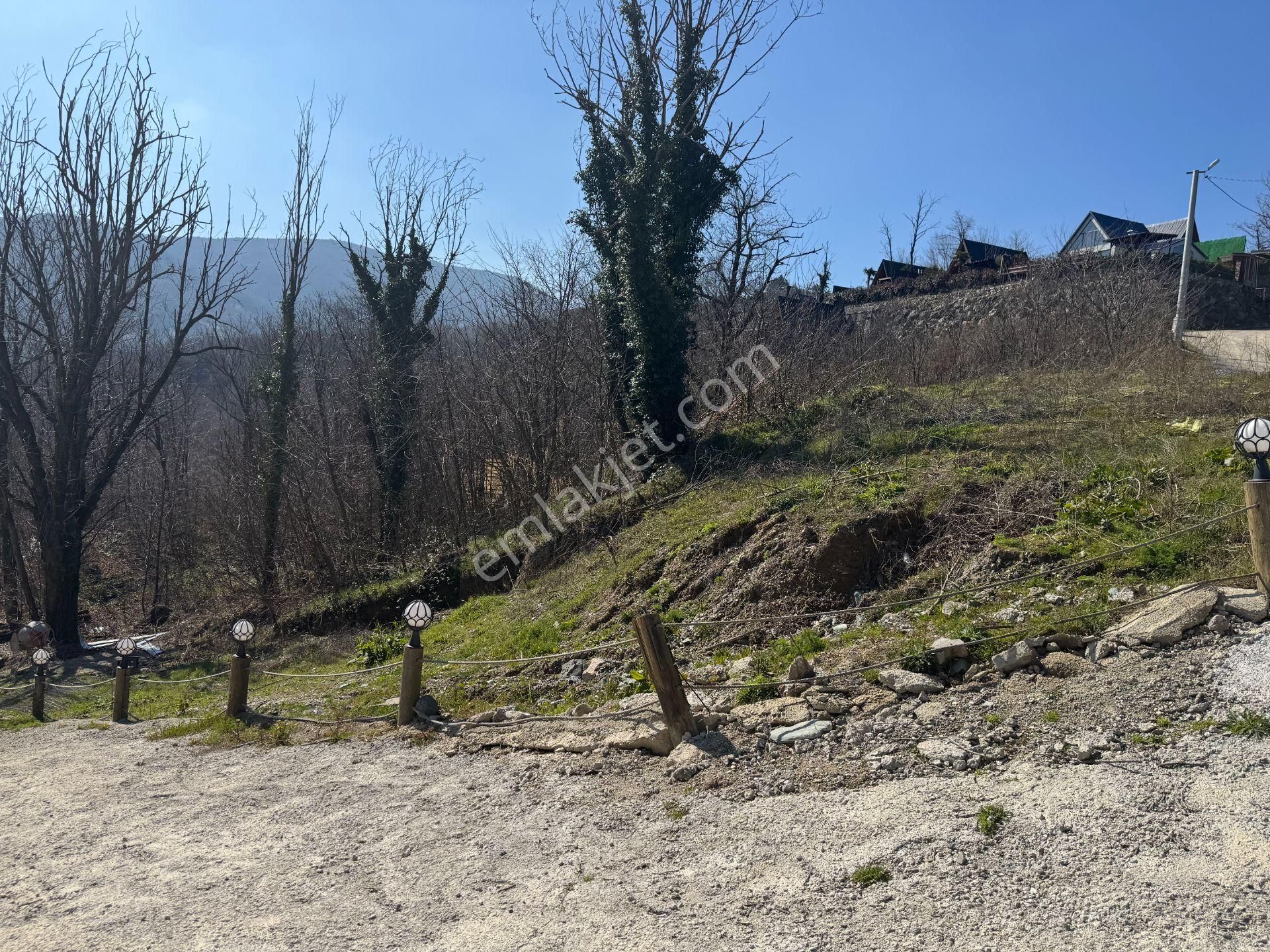 Sapanca Şükriye’de 2003 M2 Satılık Bahçe - Görsel 7