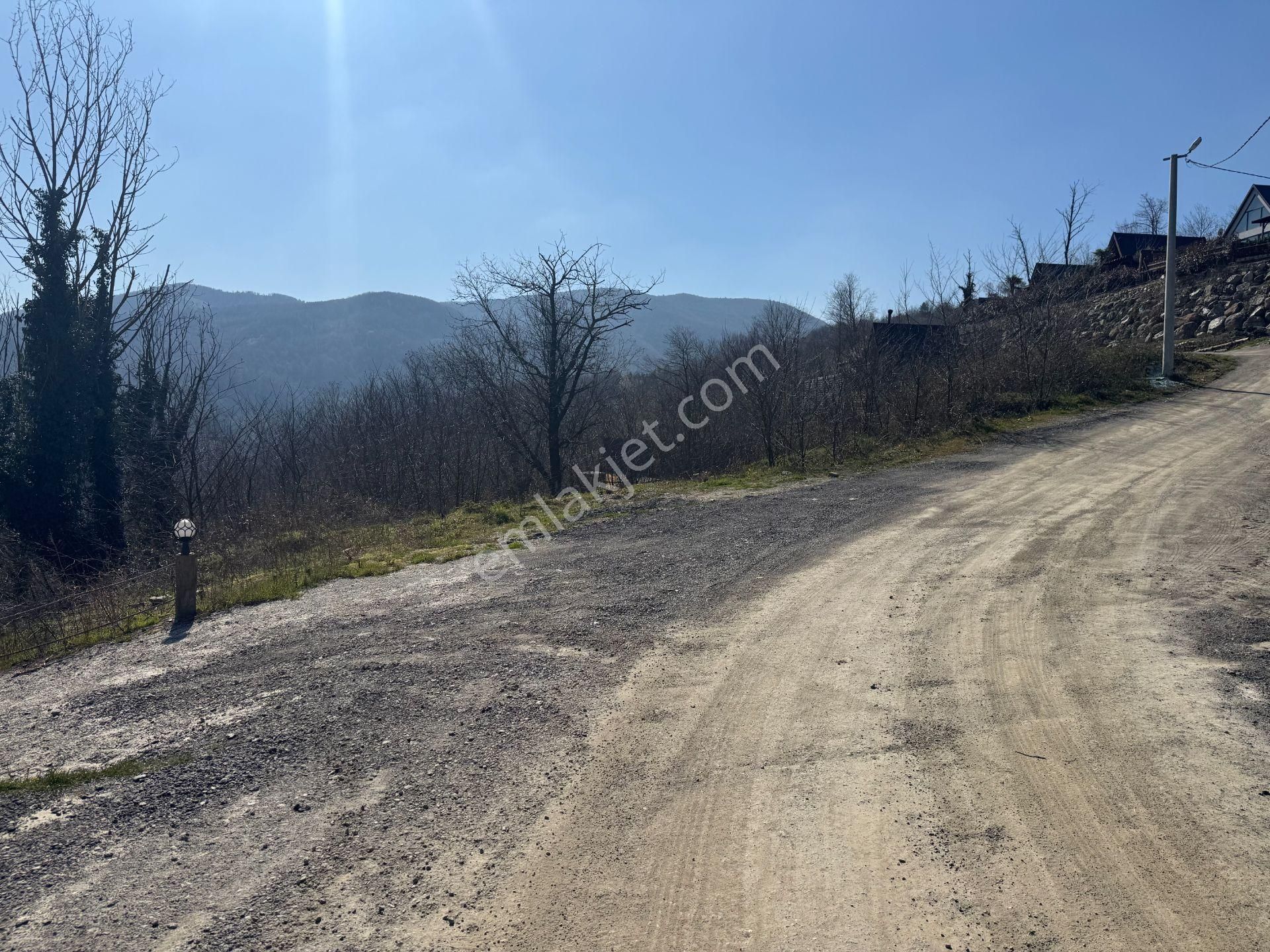 Sapanca Şükriye’de 2003 M2 Satılık Bahçe - Görsel 22